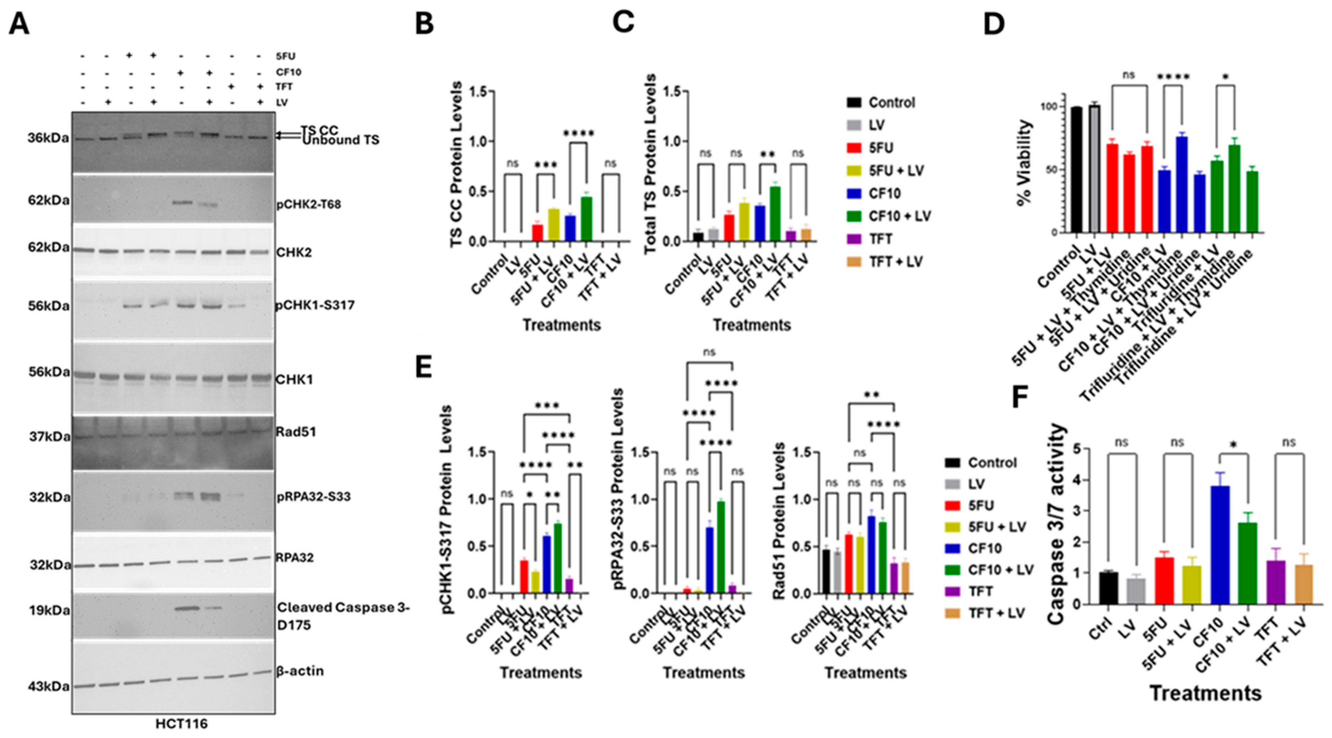 Cancers 17 02739 g003
