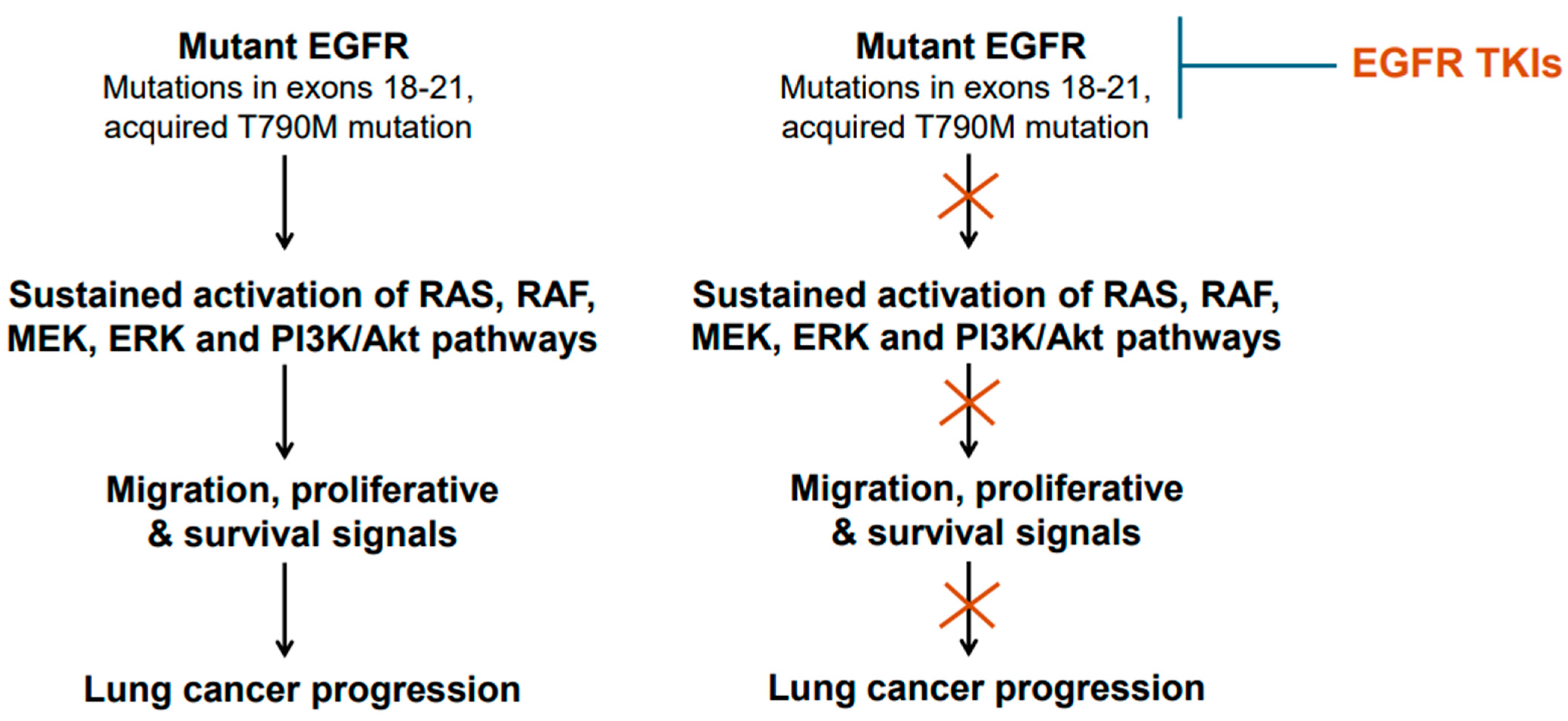 Cancers 17 02791 g003