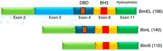 Cancers 17 02791 g004