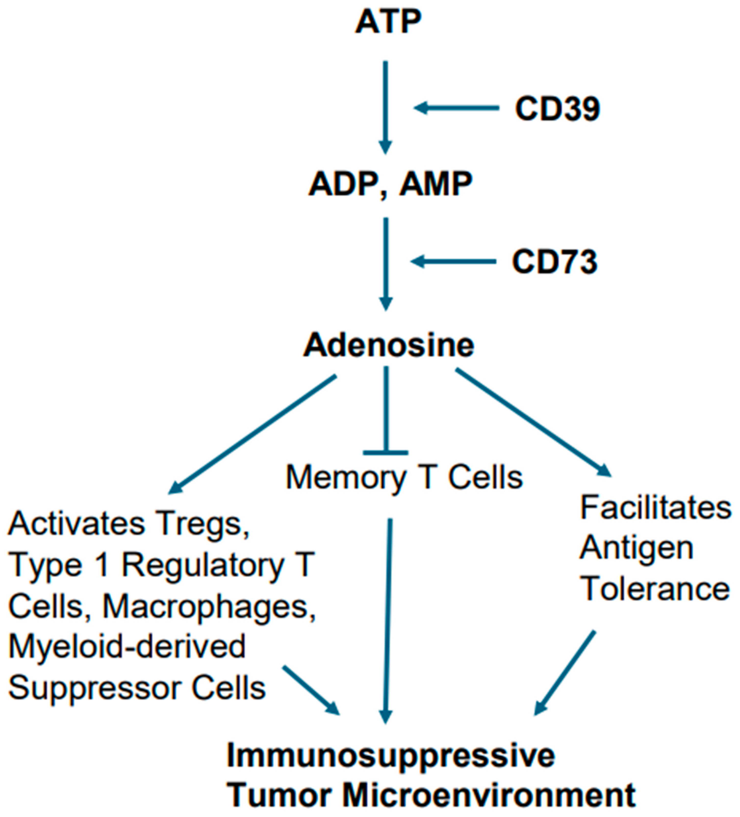 Cancers 17 02791 g006