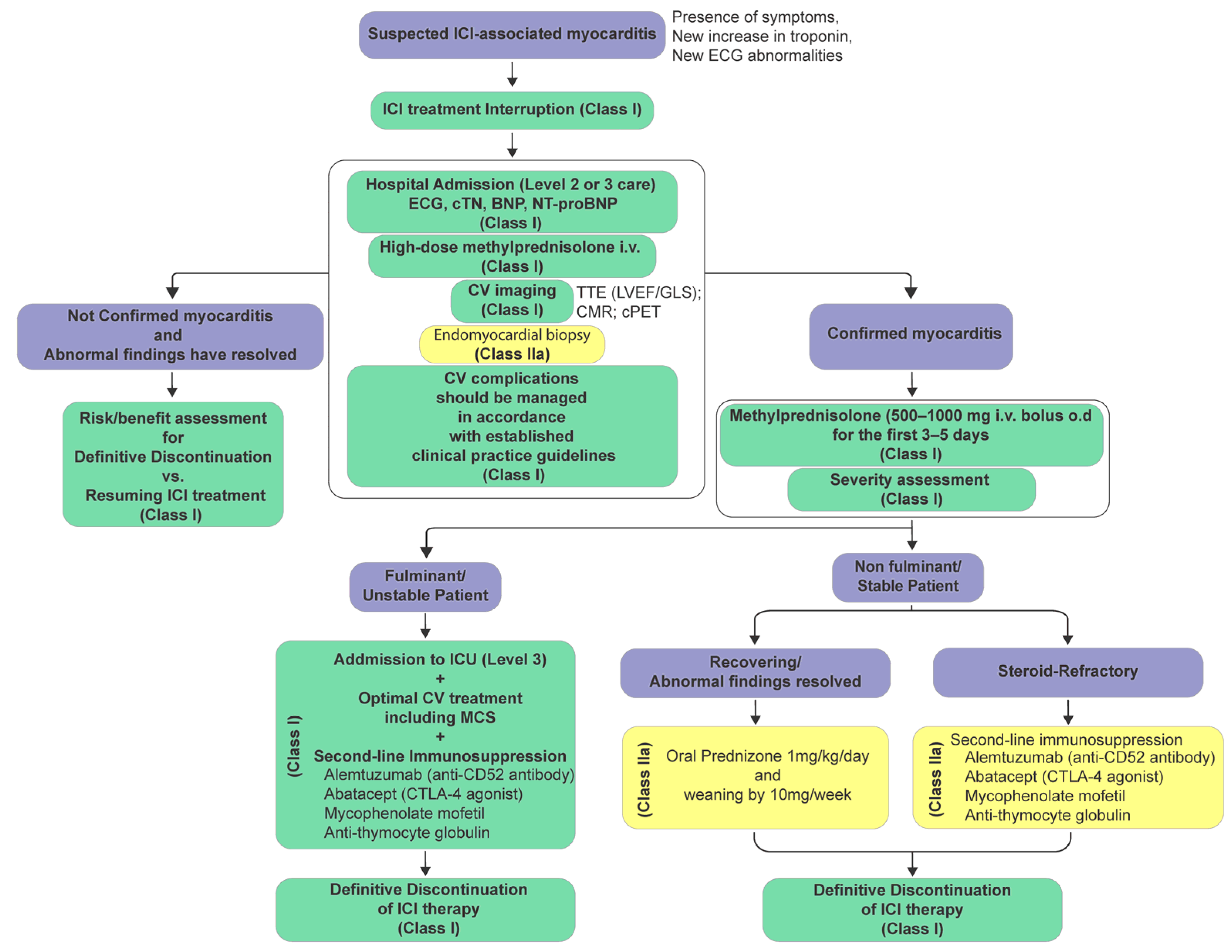 Cancers 17 02838 g001