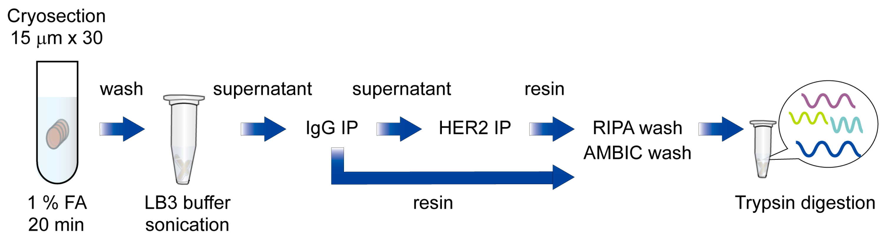 Cancers 17 02882 g001 Cancers 17 02882 g001