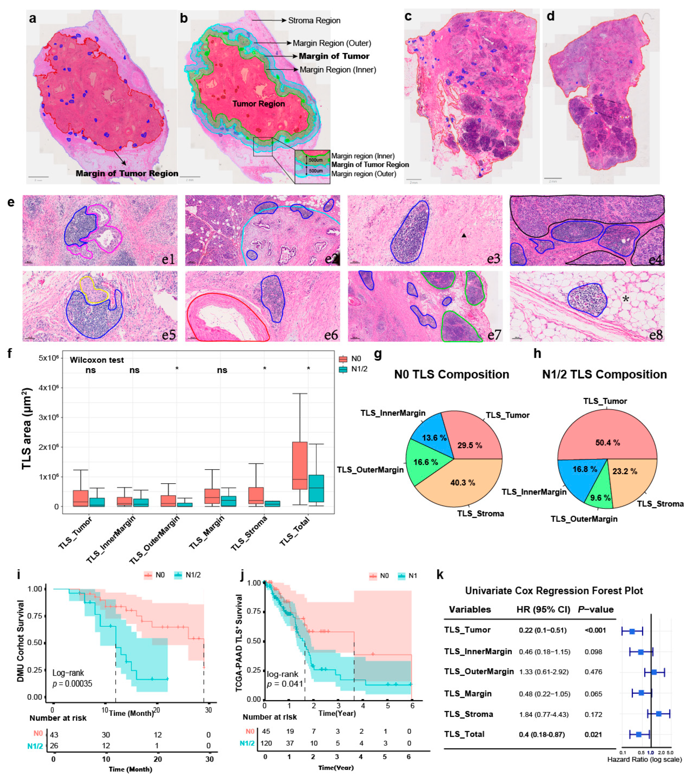 Cancers 17 02949 g001