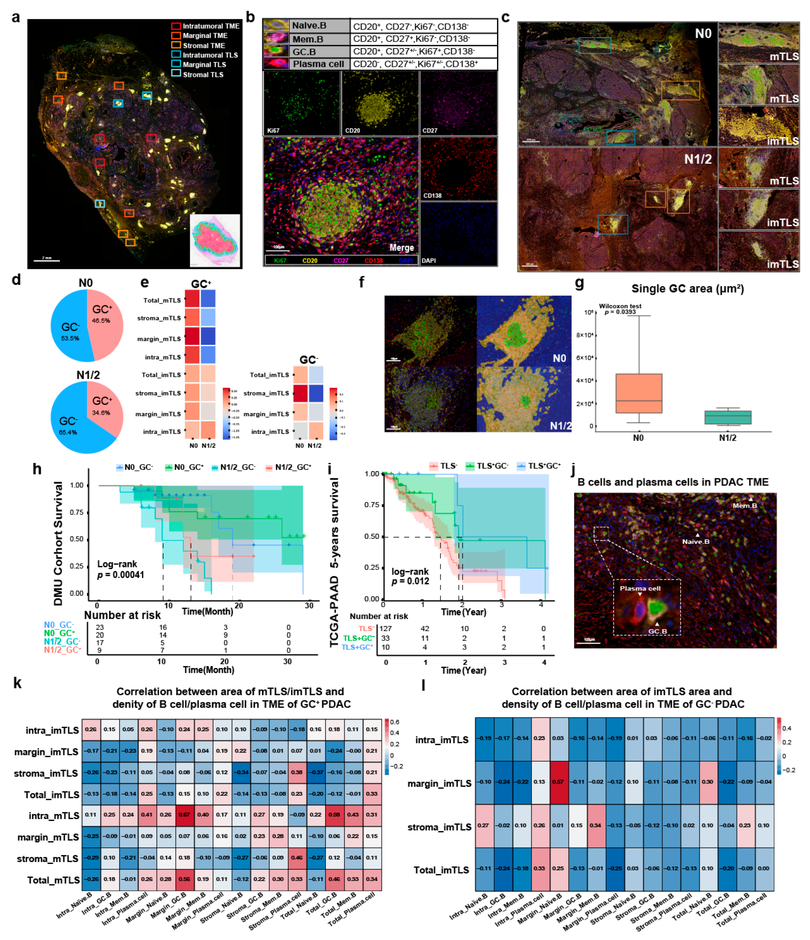 Cancers 17 02949 g002