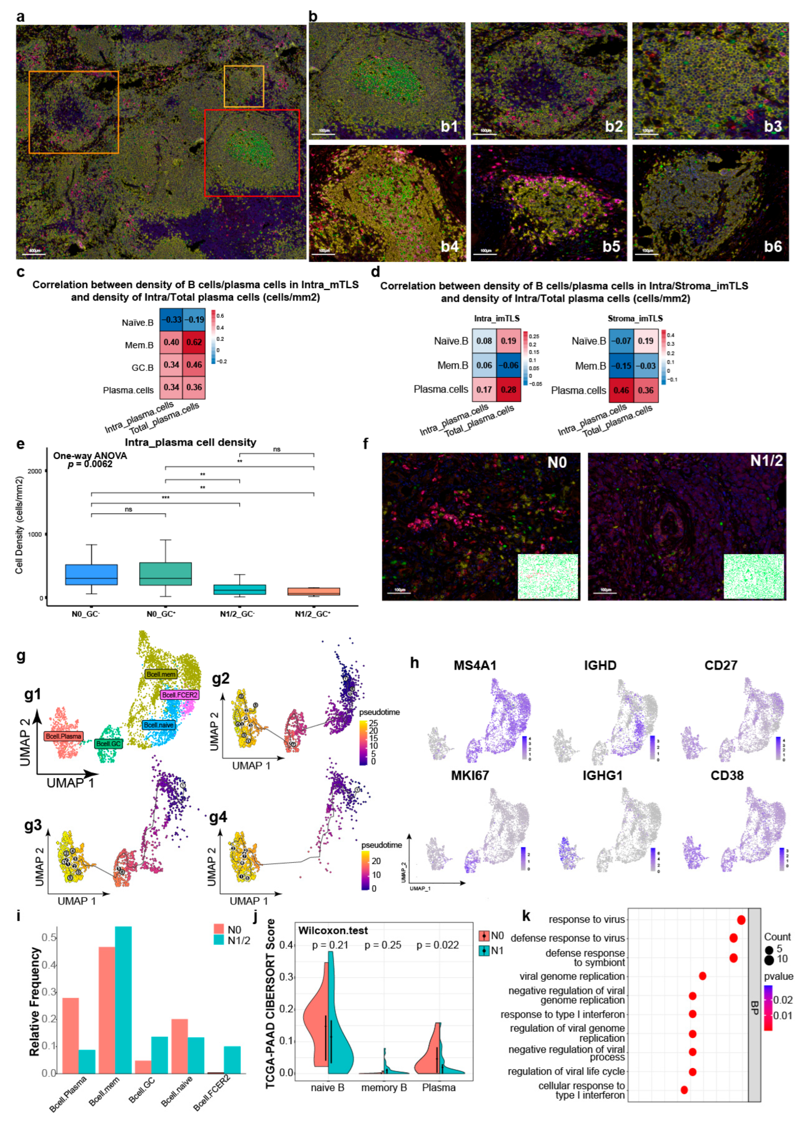 Cancers 17 02949 g003
