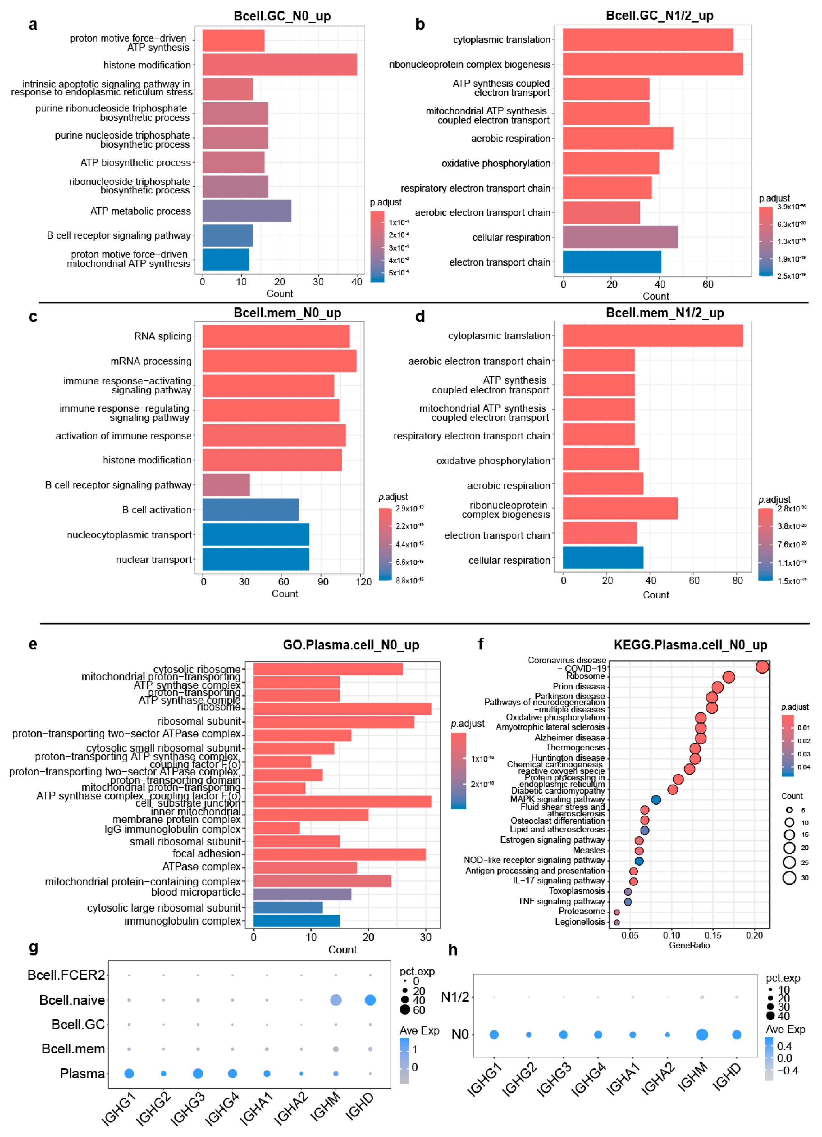 Cancers 17 02949 g004