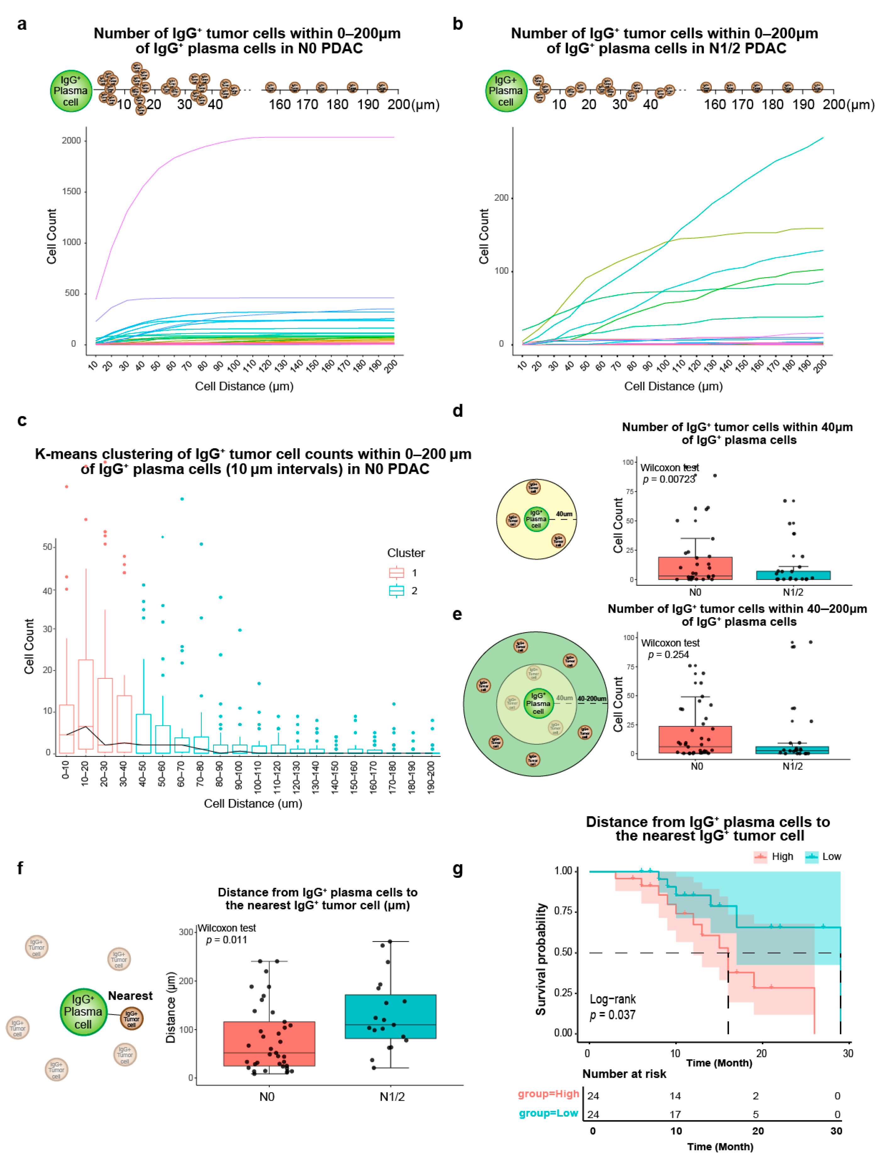 Cancers 17 02949 g006