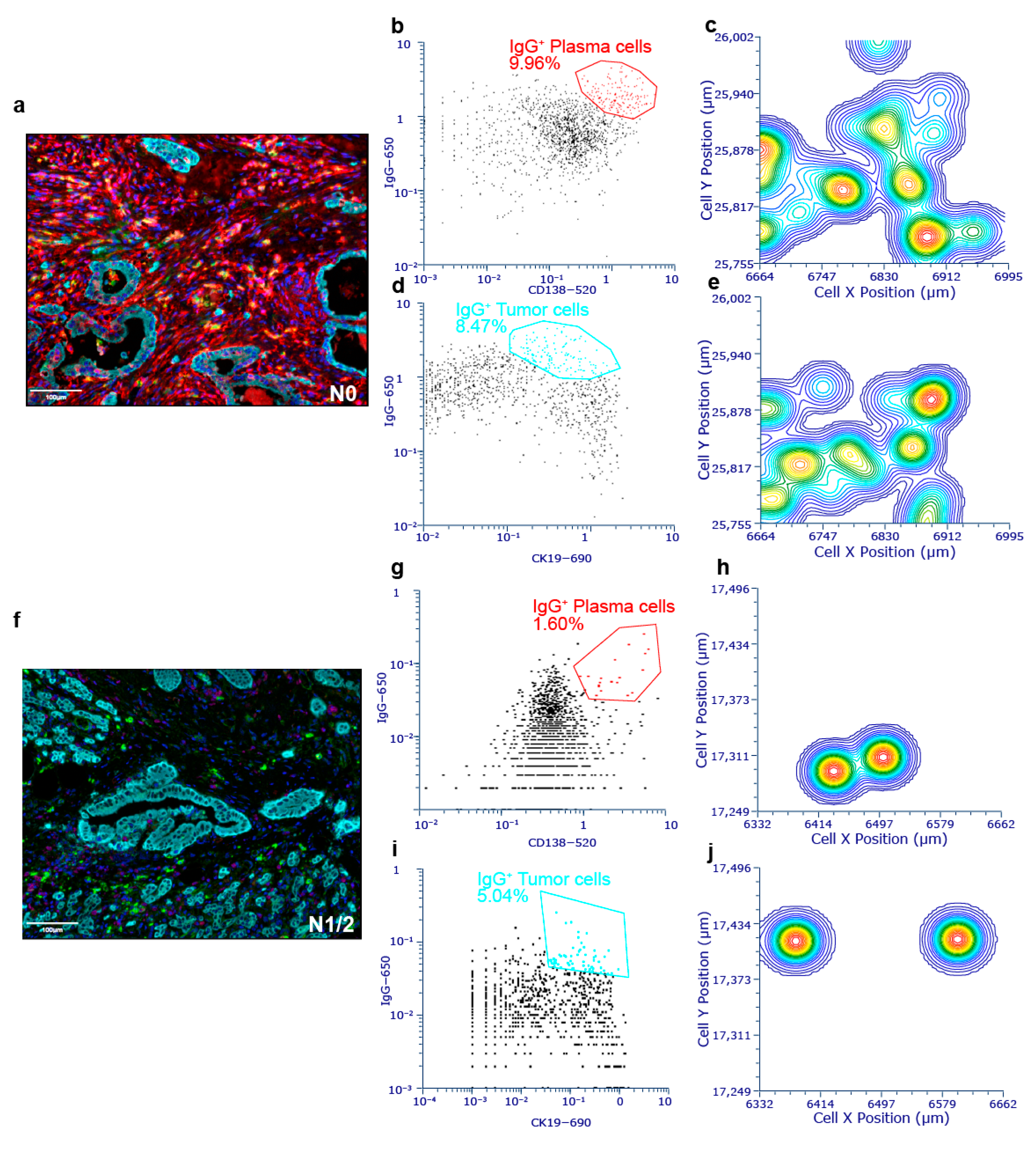 Cancers 17 02949 g007