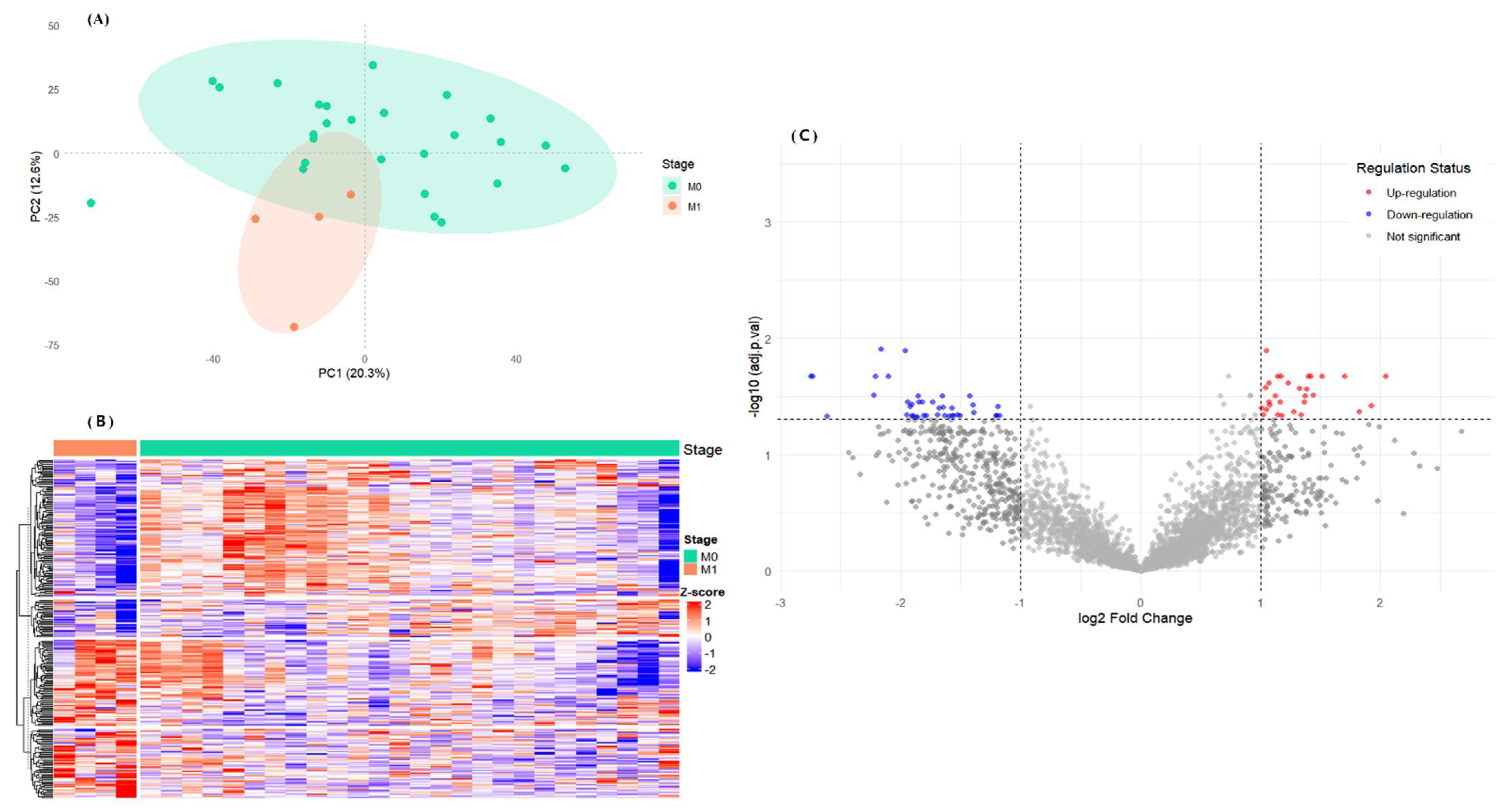 Cancers 17 02975 g001
