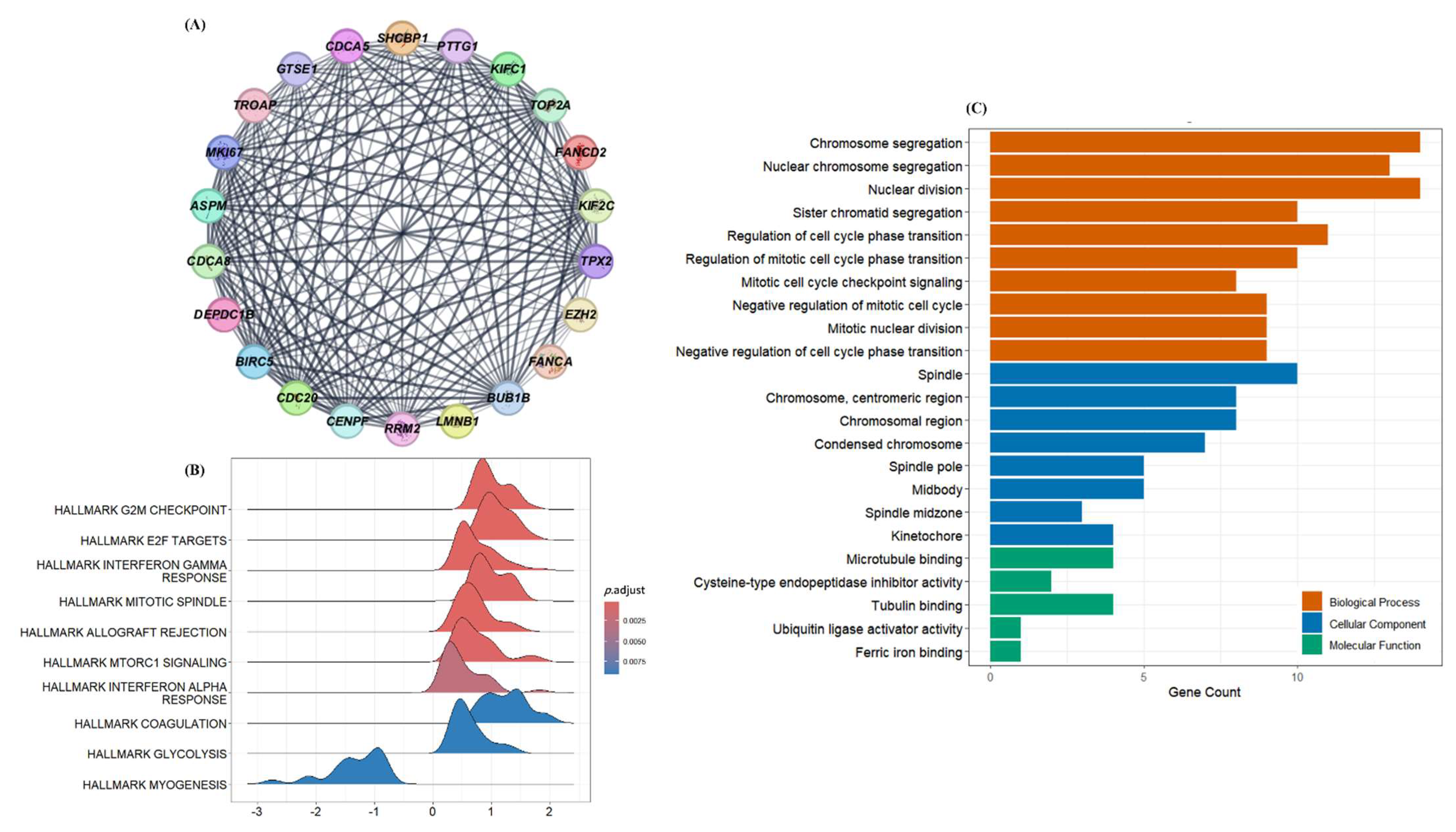 Cancers 17 02975 g002