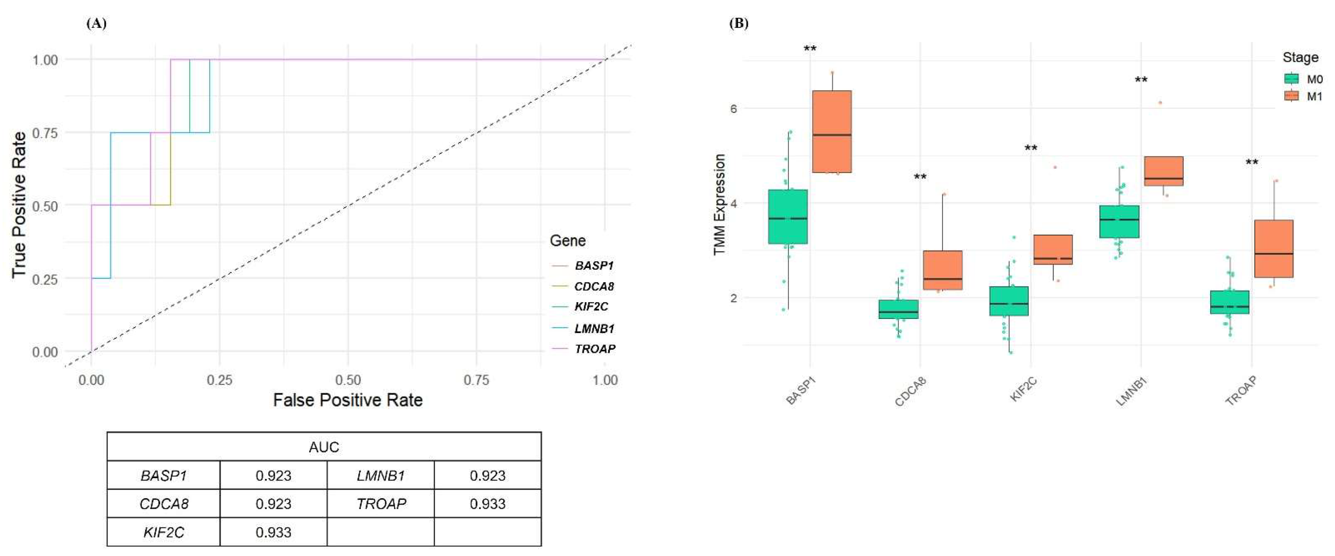 Cancers 17 02975 g003