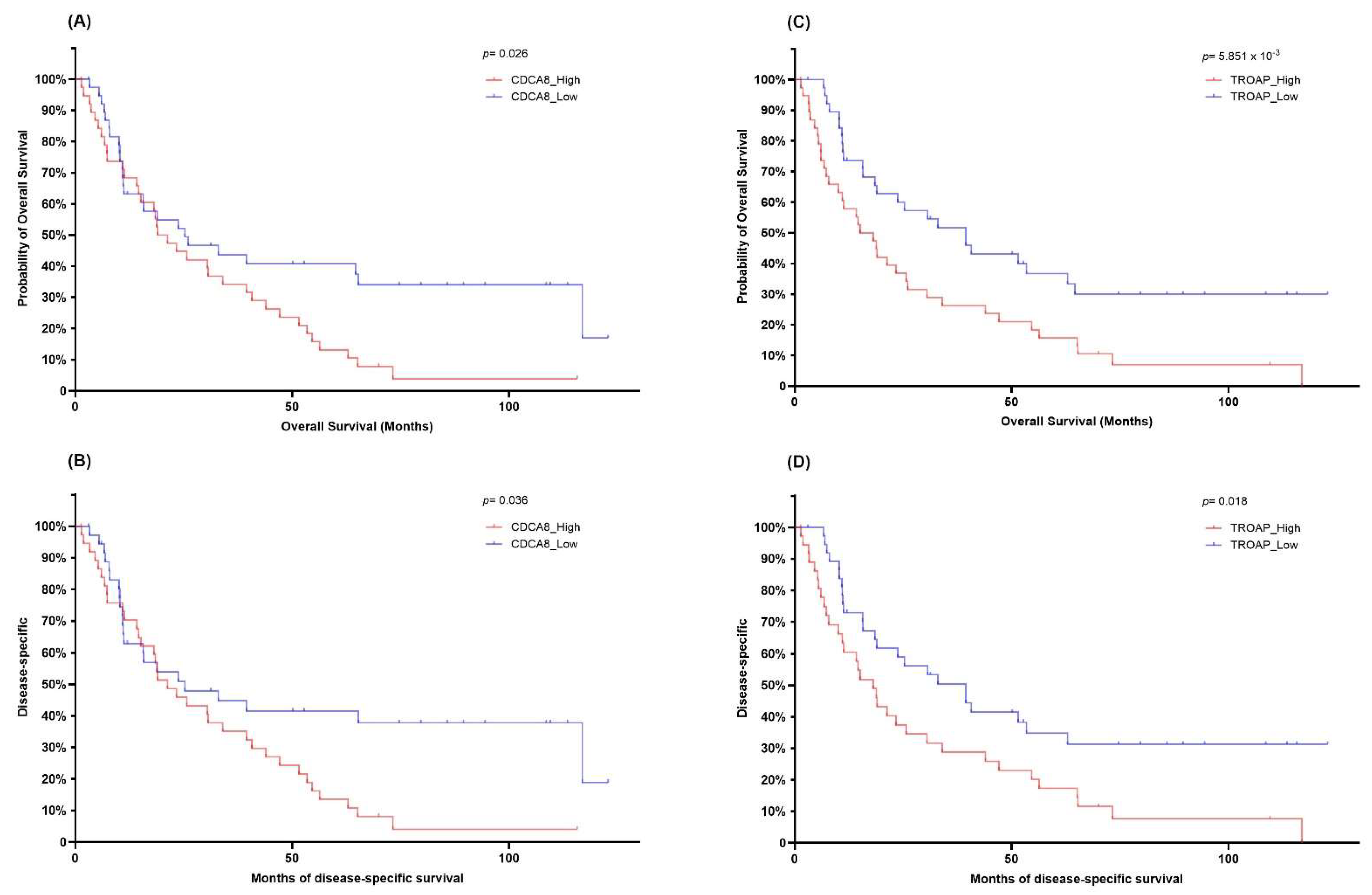 Cancers 17 02975 g004