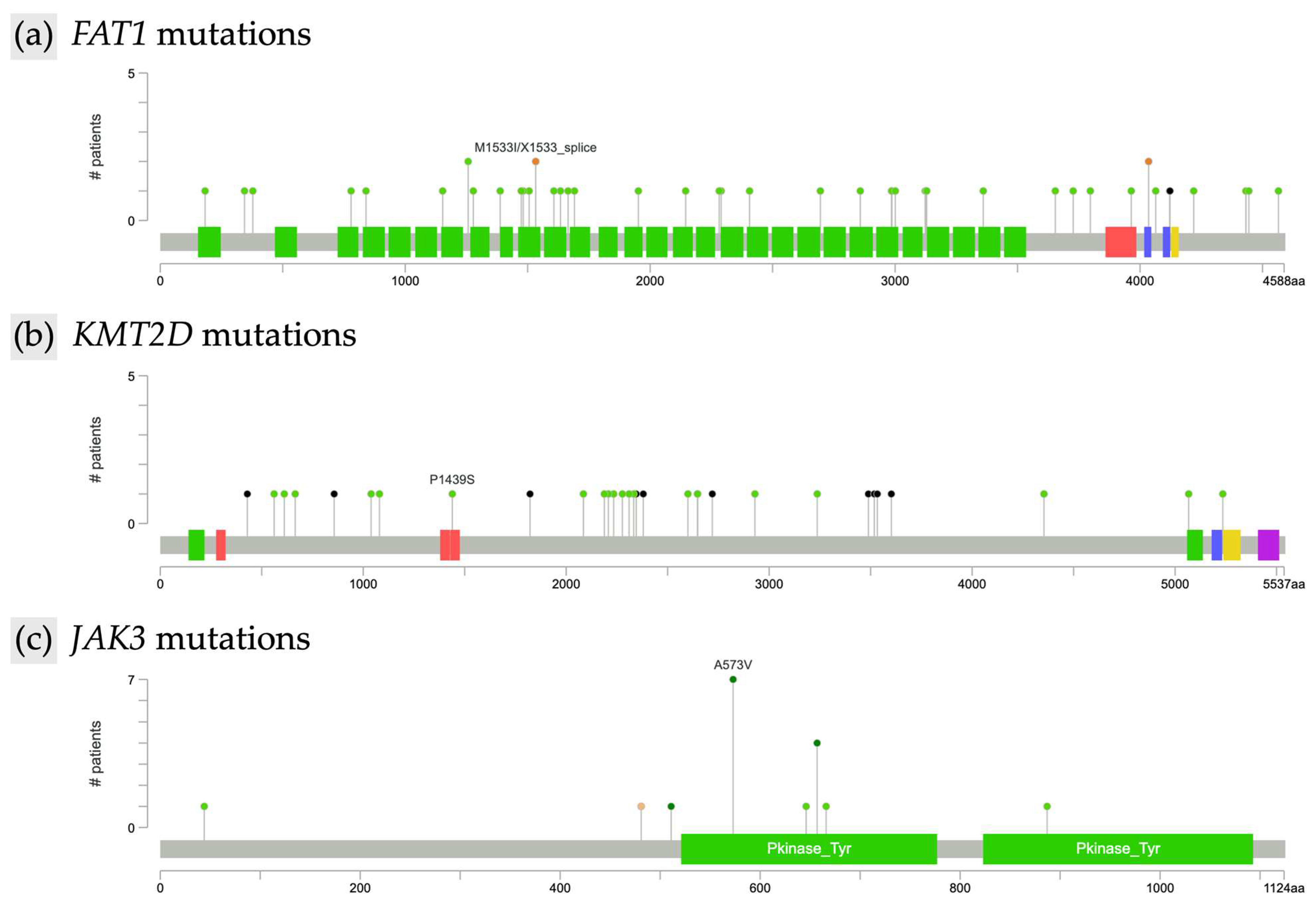 Cancers 17 02984 g002 Cancers 17 02984 g002