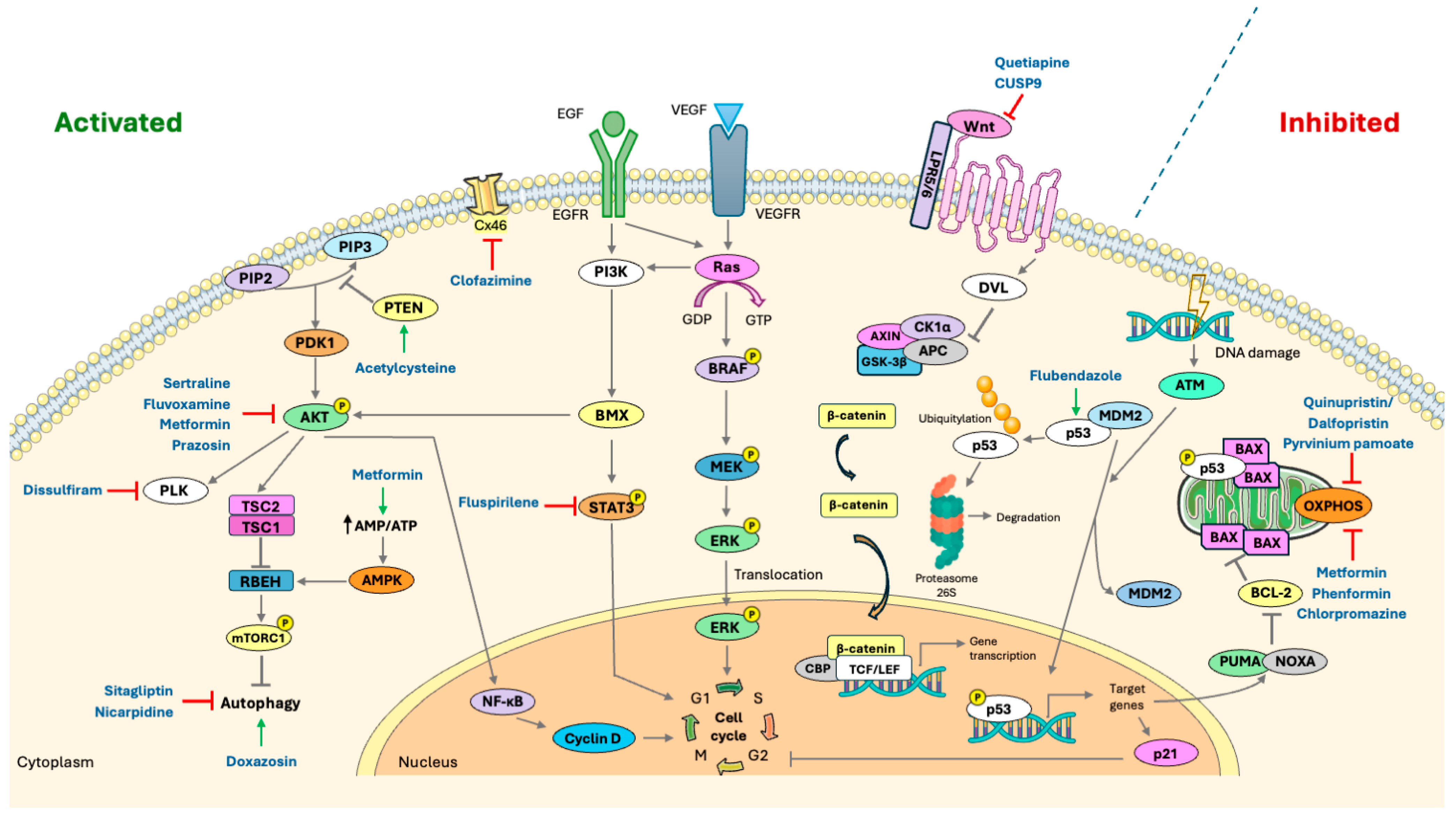 Cancers 17 02999 g001