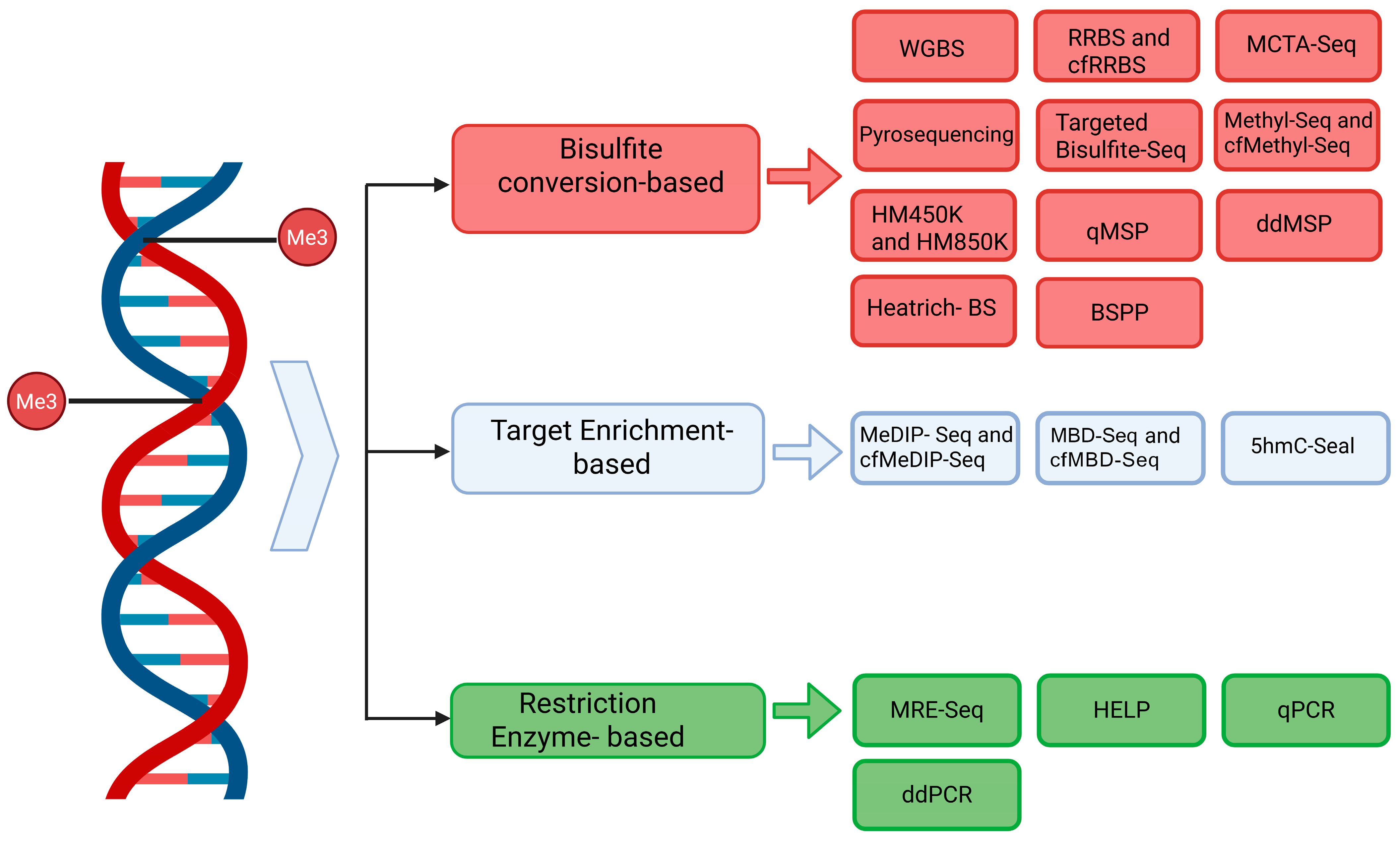 Cancers 17 03021 g001 Cancers 17 03021 g001