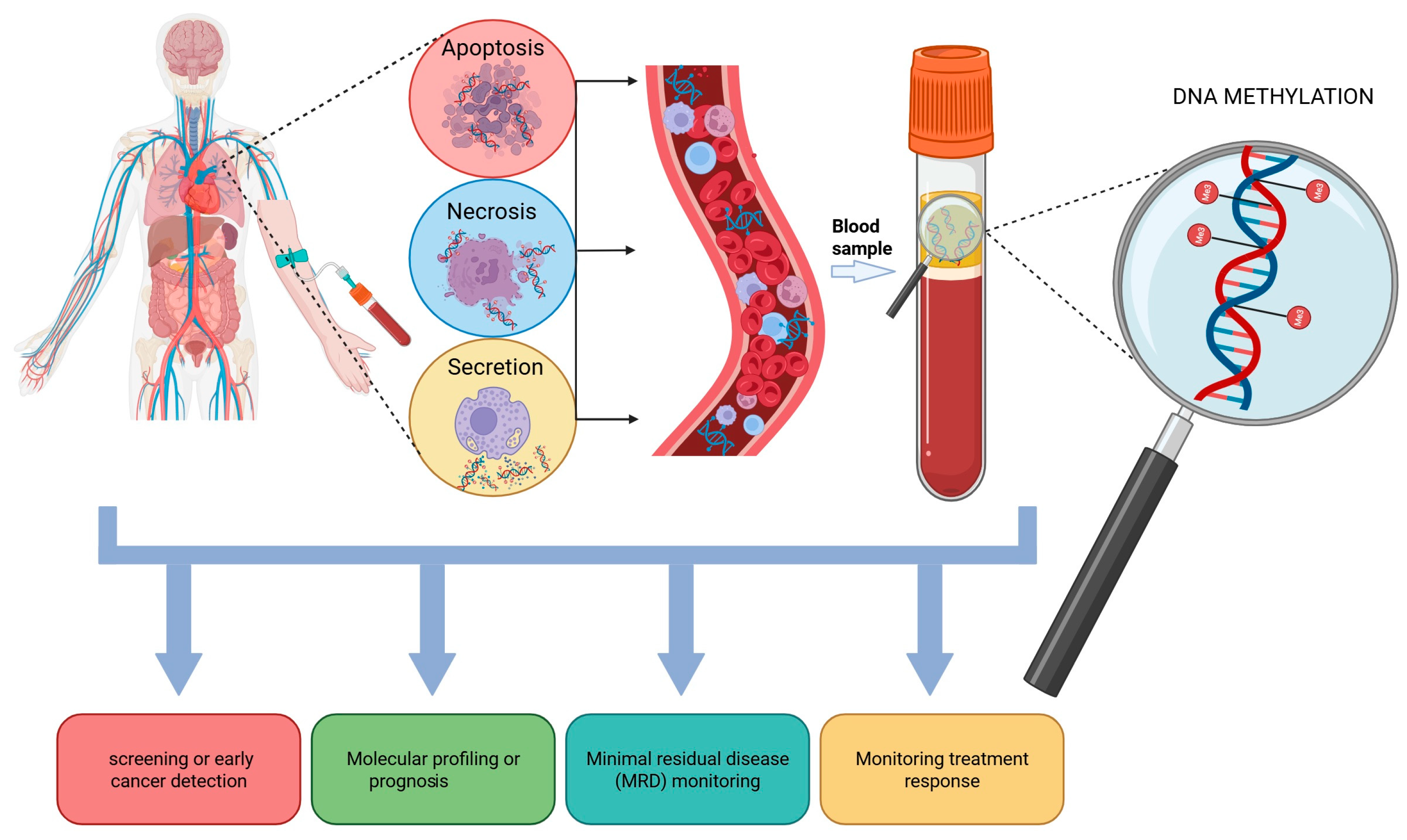 Cancers 17 03021 g002 Cancers 17 03021 g002