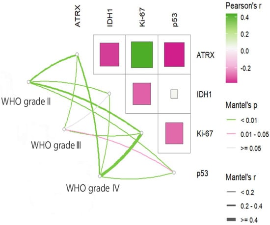 Cancers 17 03043 g002