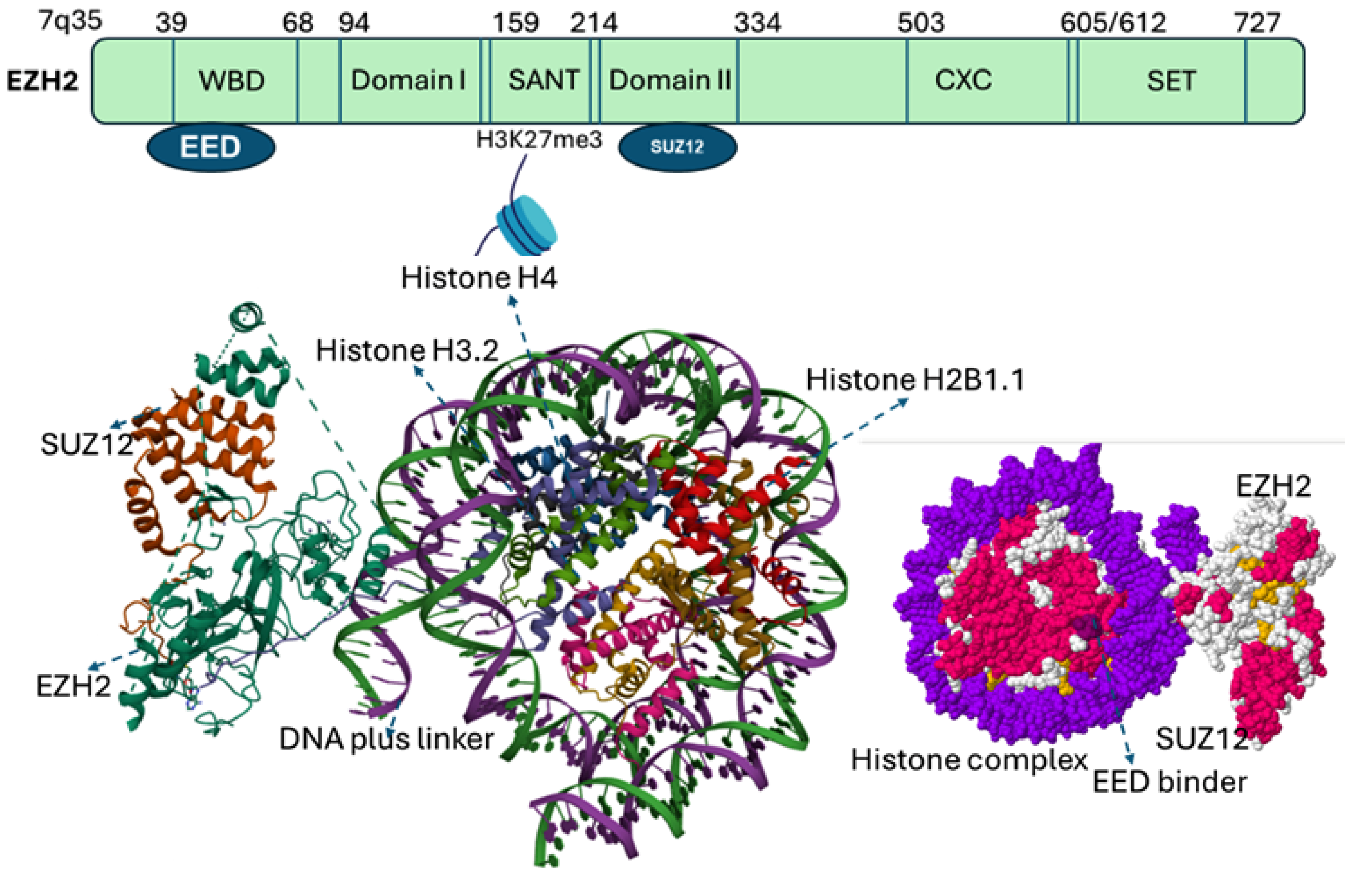 Cancers 17 03111 g002 Cancers 17 03111 g002