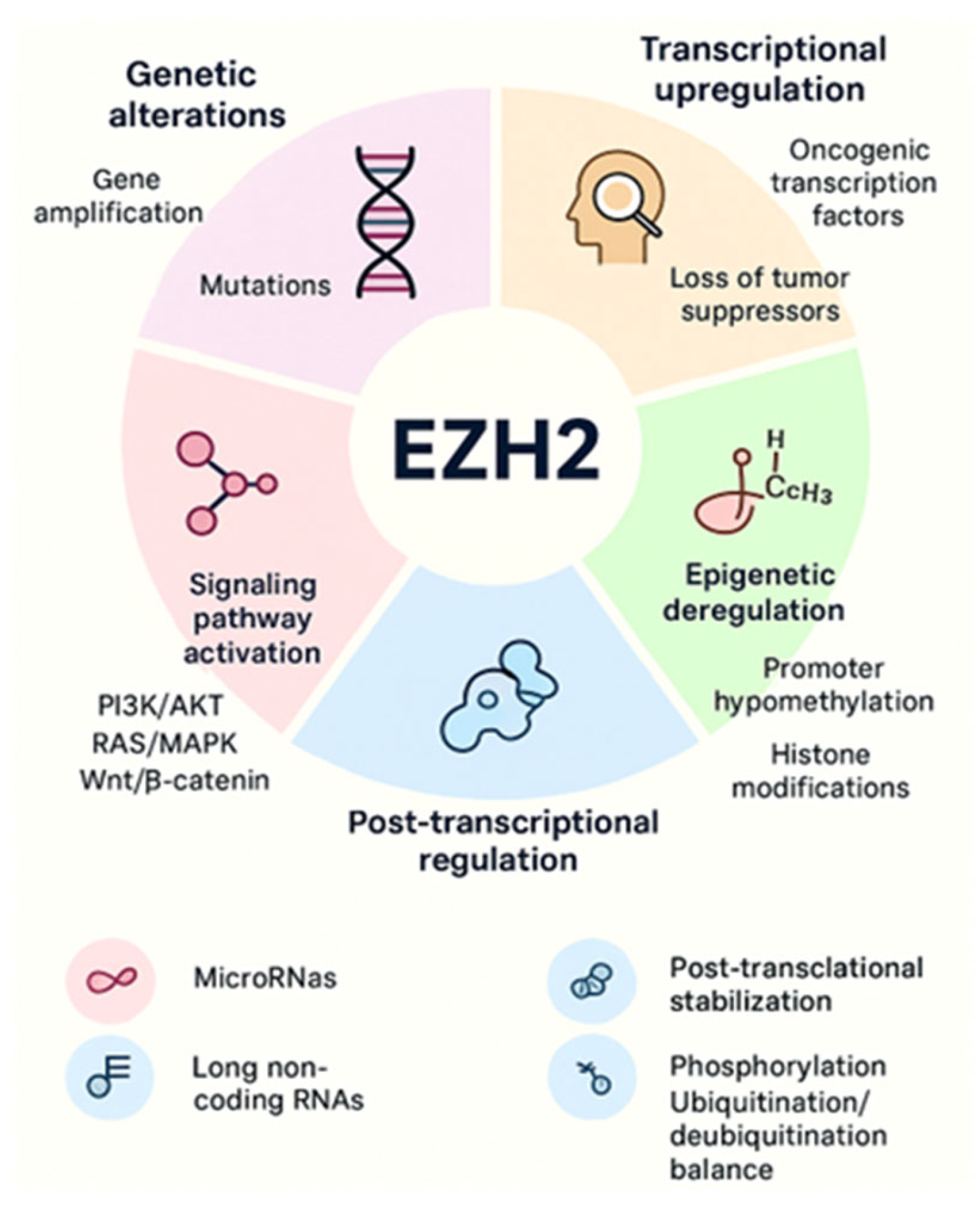 Cancers 17 03111 g003 Cancers 17 03111 g003
