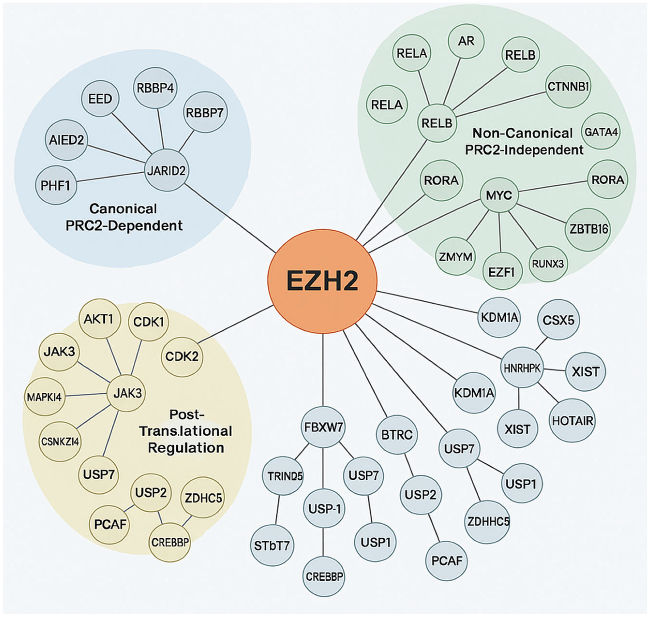 Cancers 17 03111 g004 Cancers 17 03111 g004
