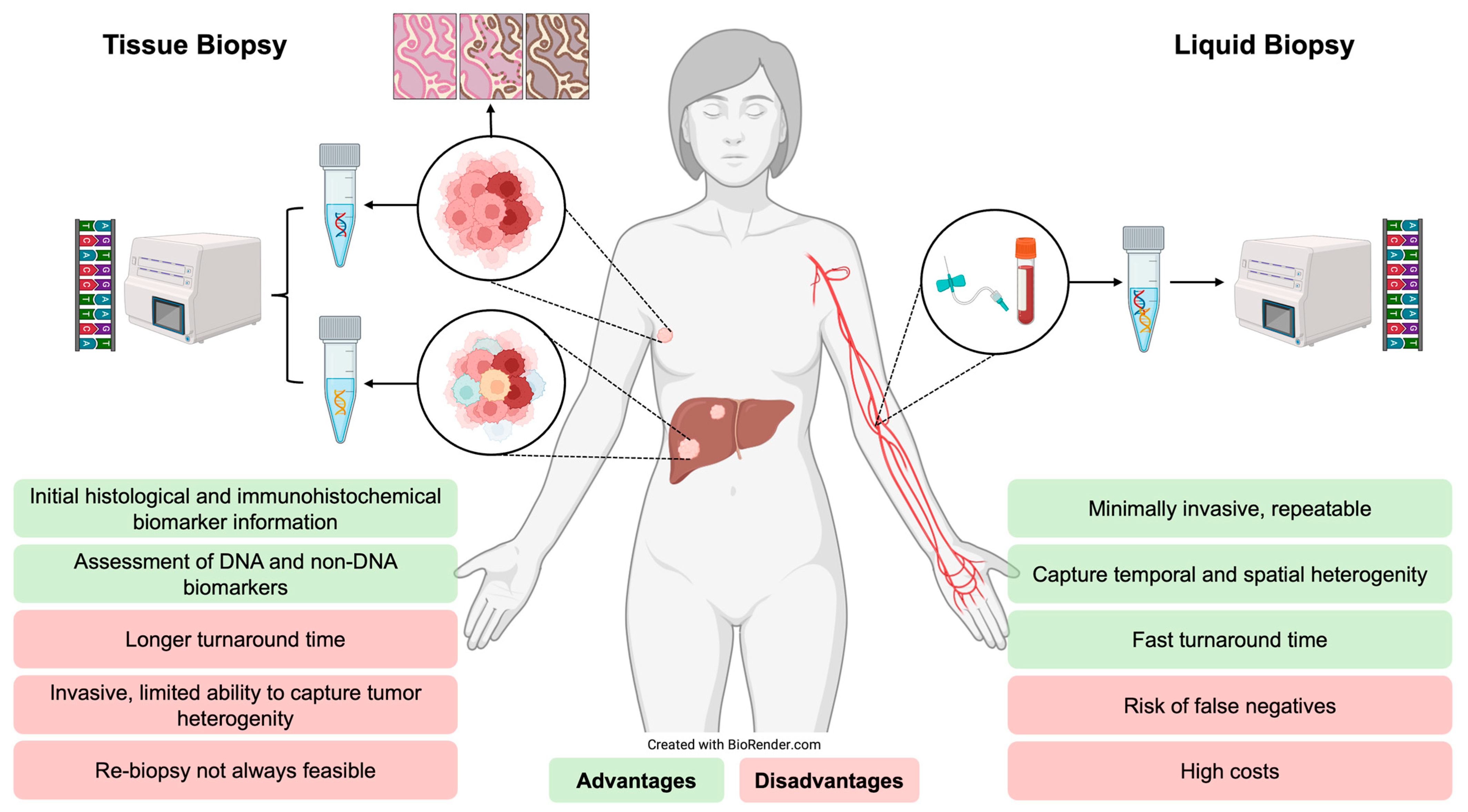Cancers 17 03174 g004 Cancers 17 03174 g004
