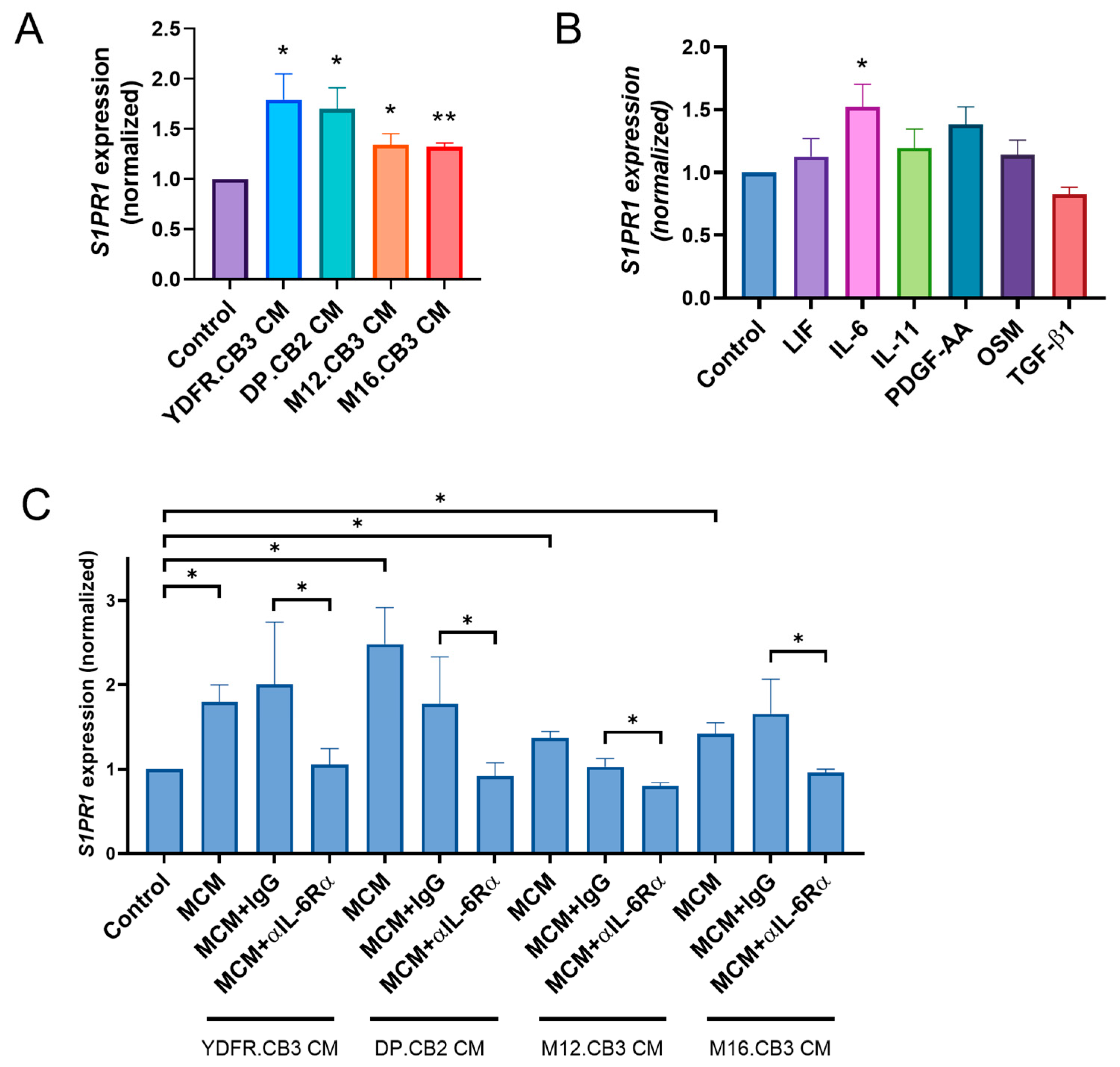 Cancers 17 03175 g001