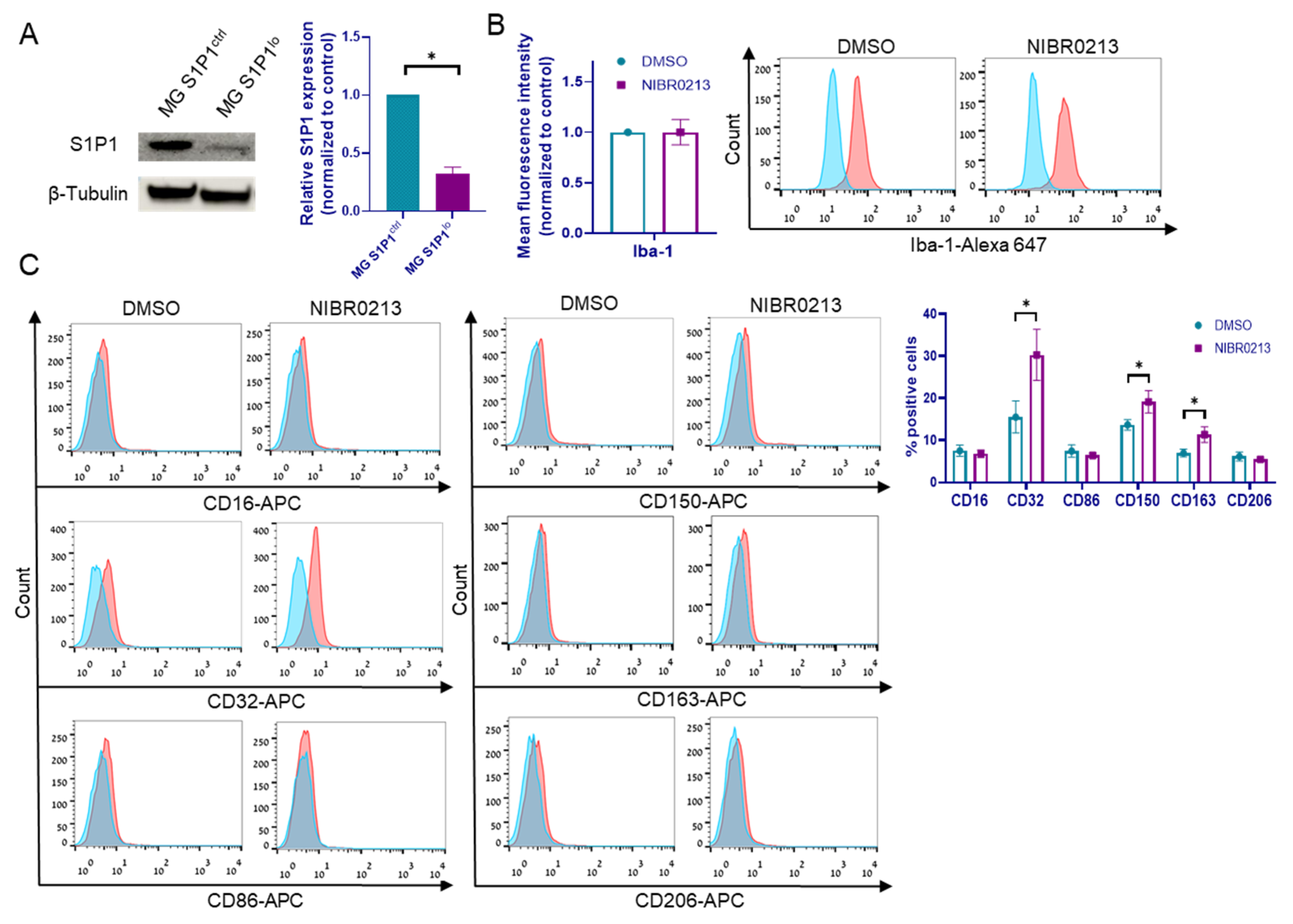 Cancers 17 03175 g002a