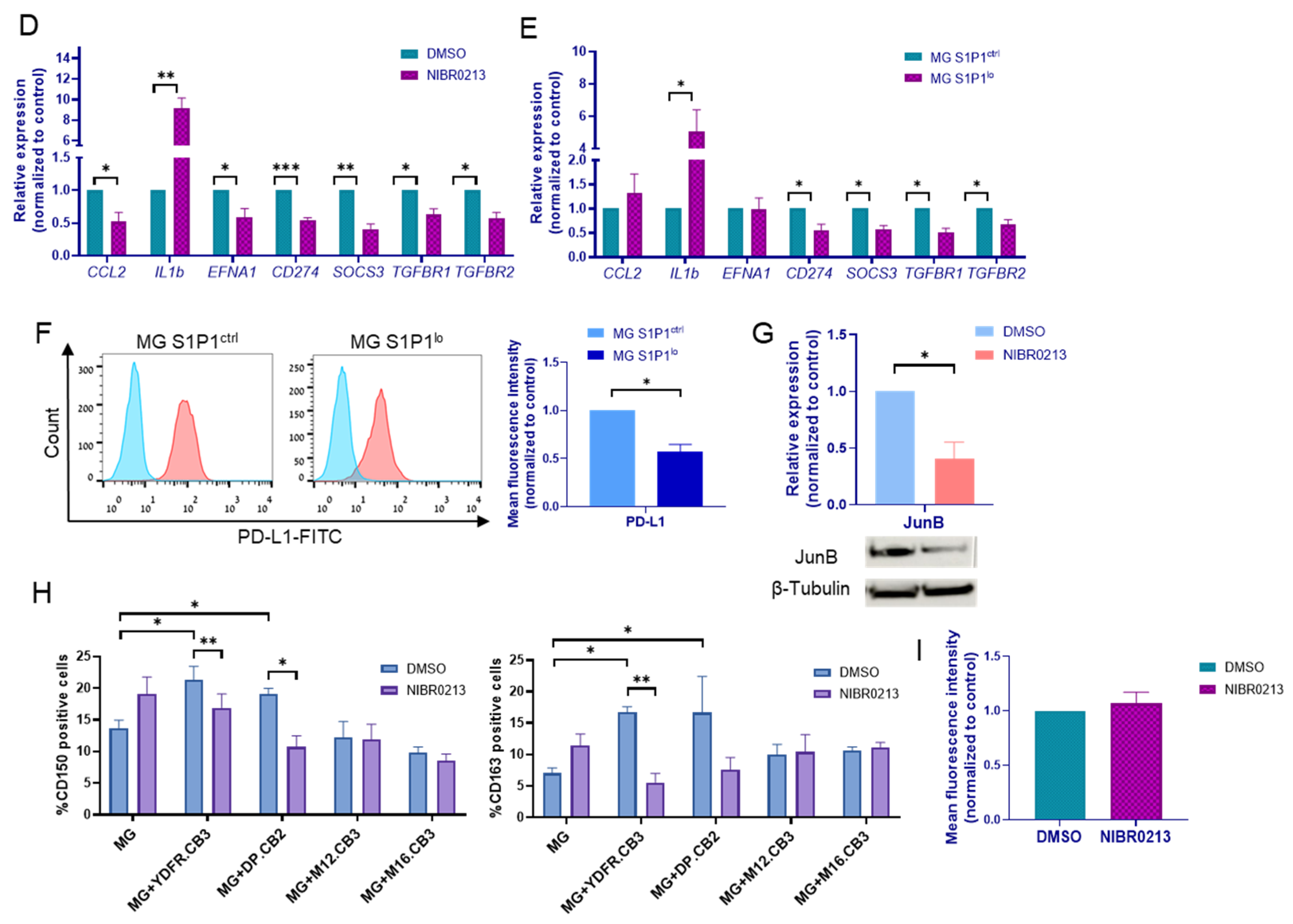 Cancers 17 03175 g002b