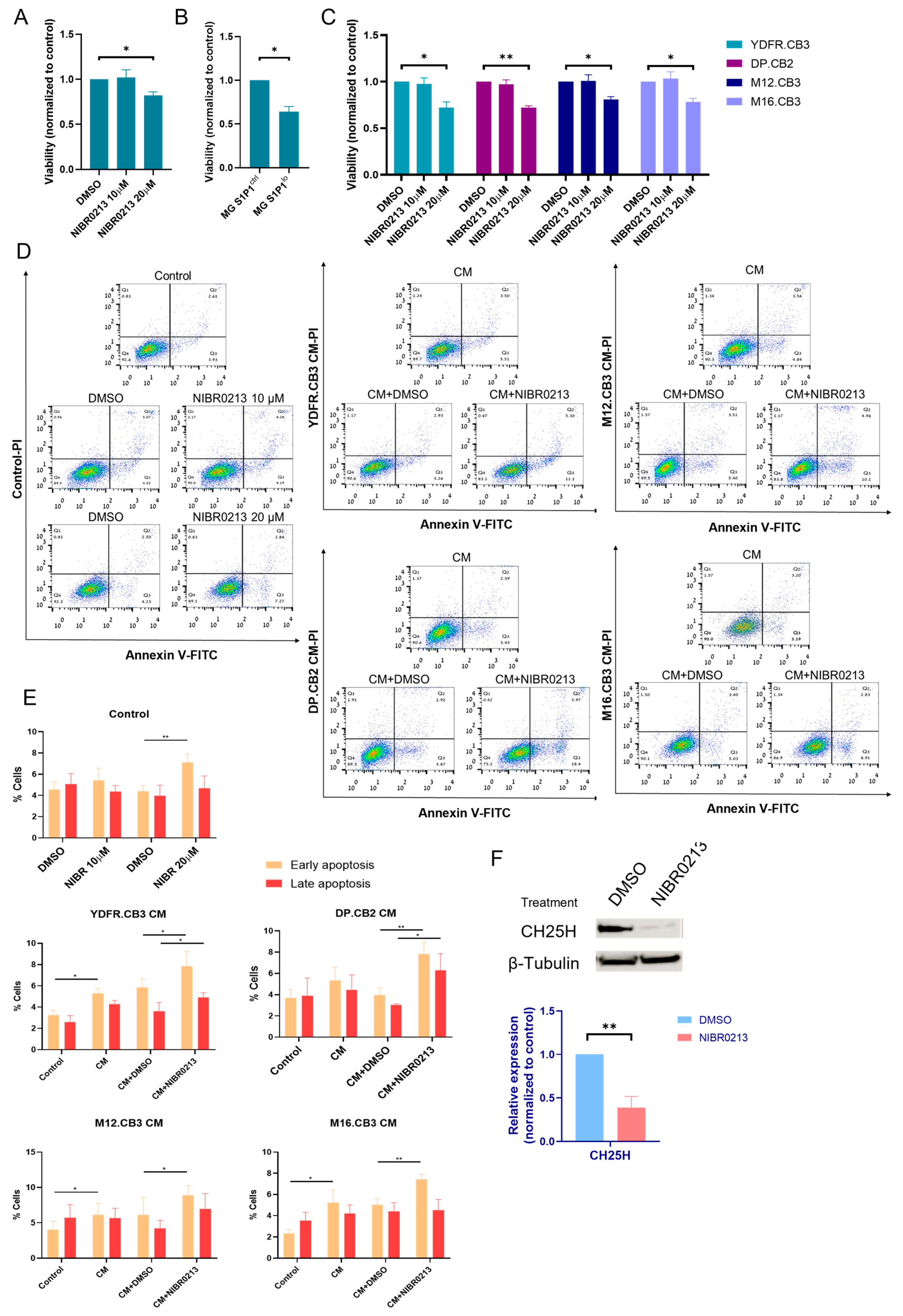 Cancers 17 03175 g003