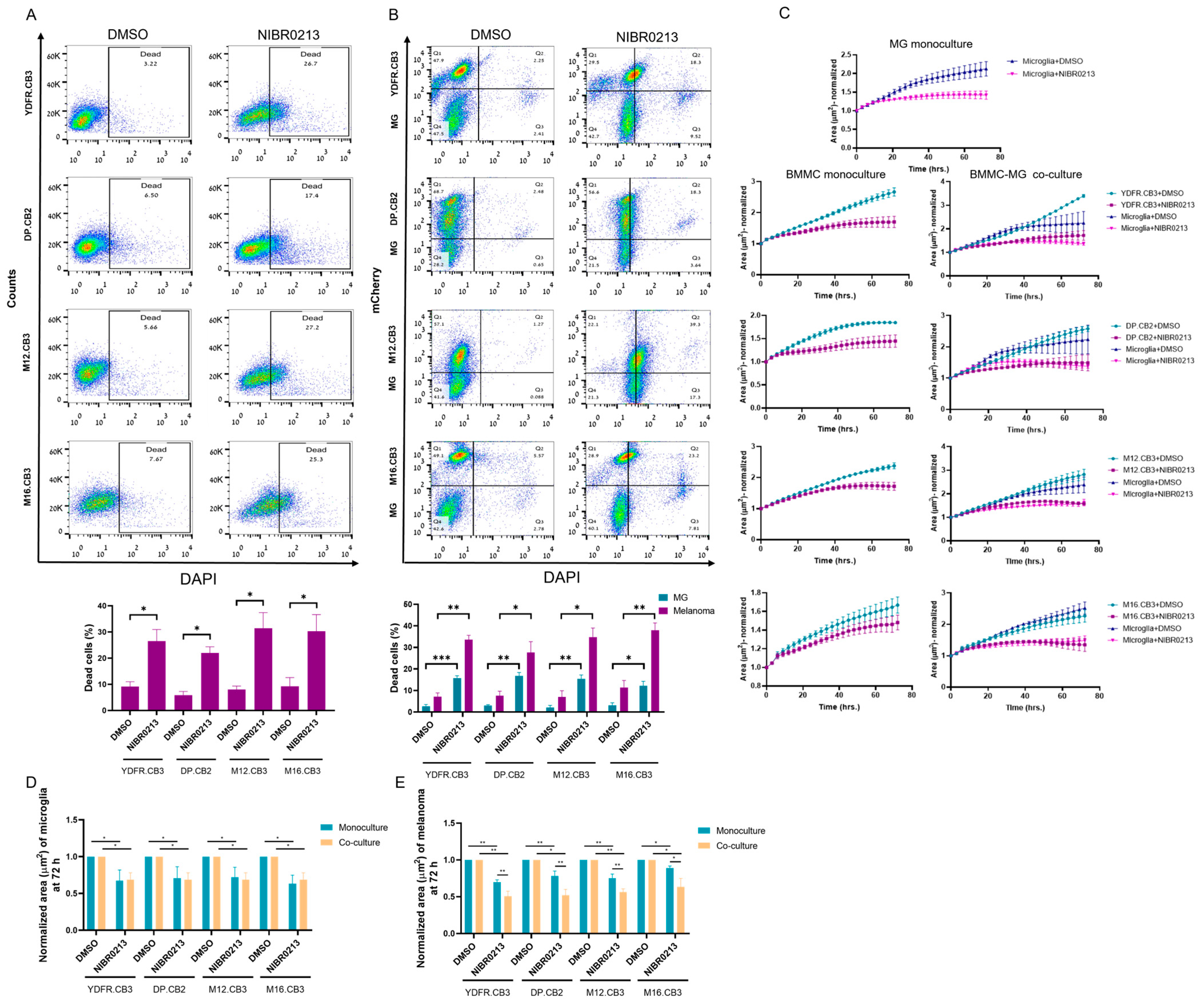 Cancers 17 03175 g004