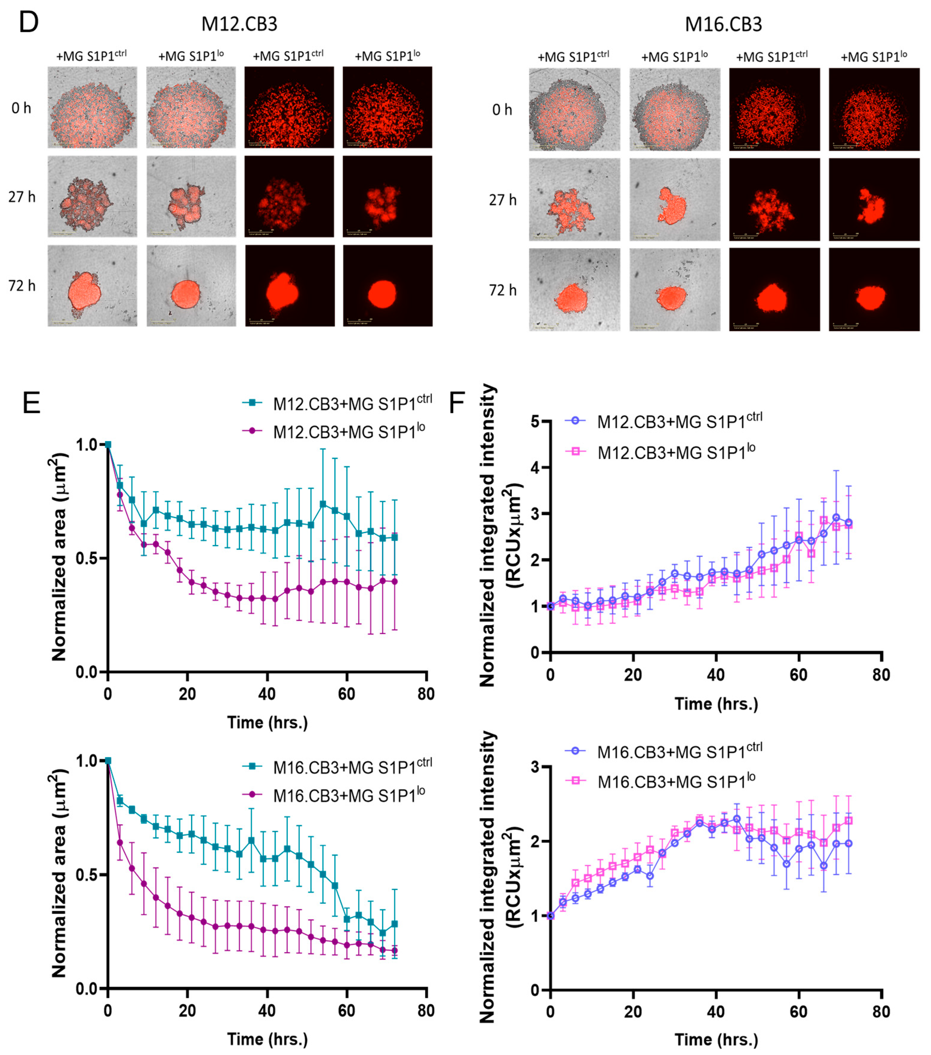 Cancers 17 03175 g005b