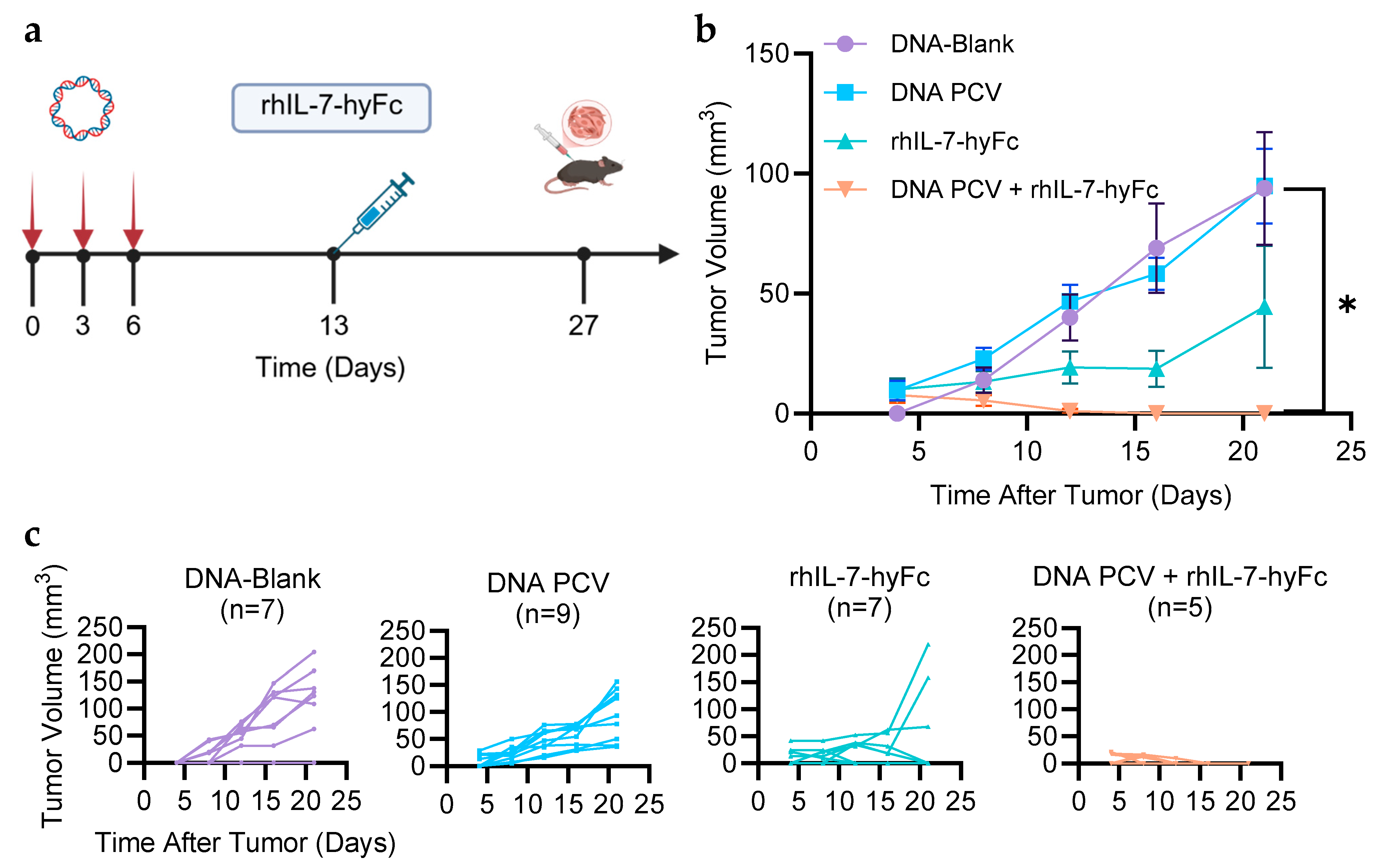 Cancers 17 03177 g002