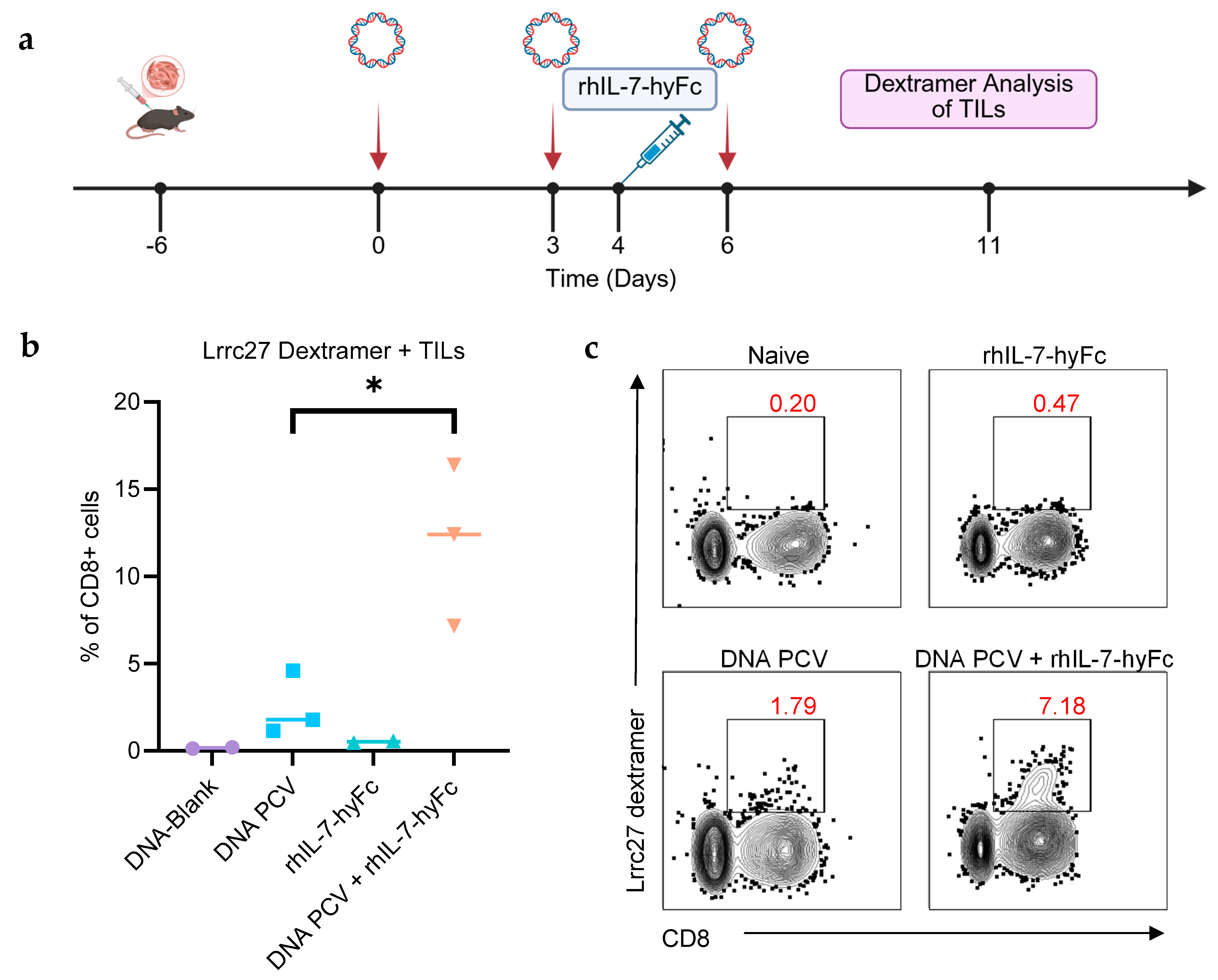 Cancers 17 03177 g004