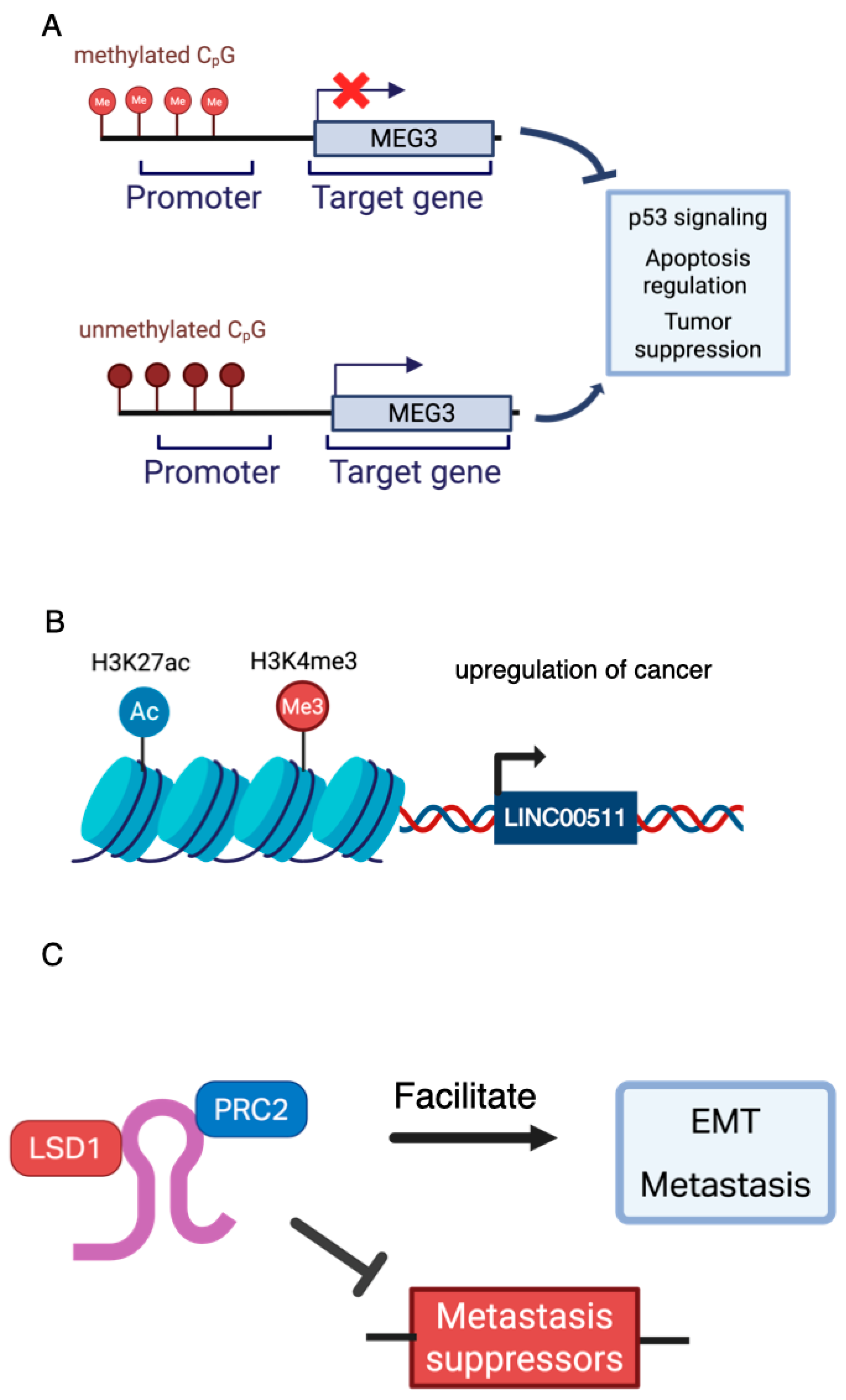 Cancers 17 03191 g002 Cancers 17 03191 g002