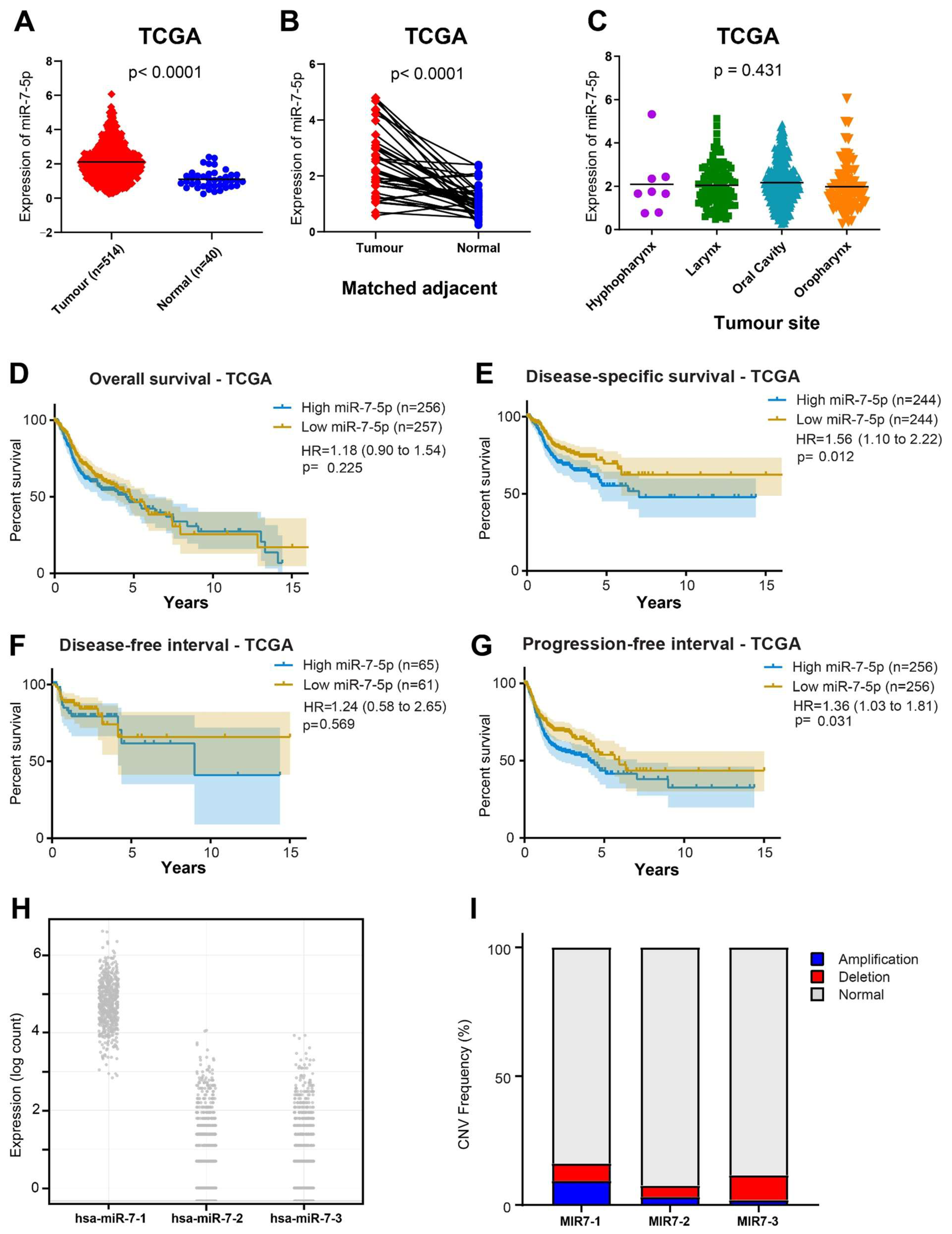 Cancers 17 03232 g005