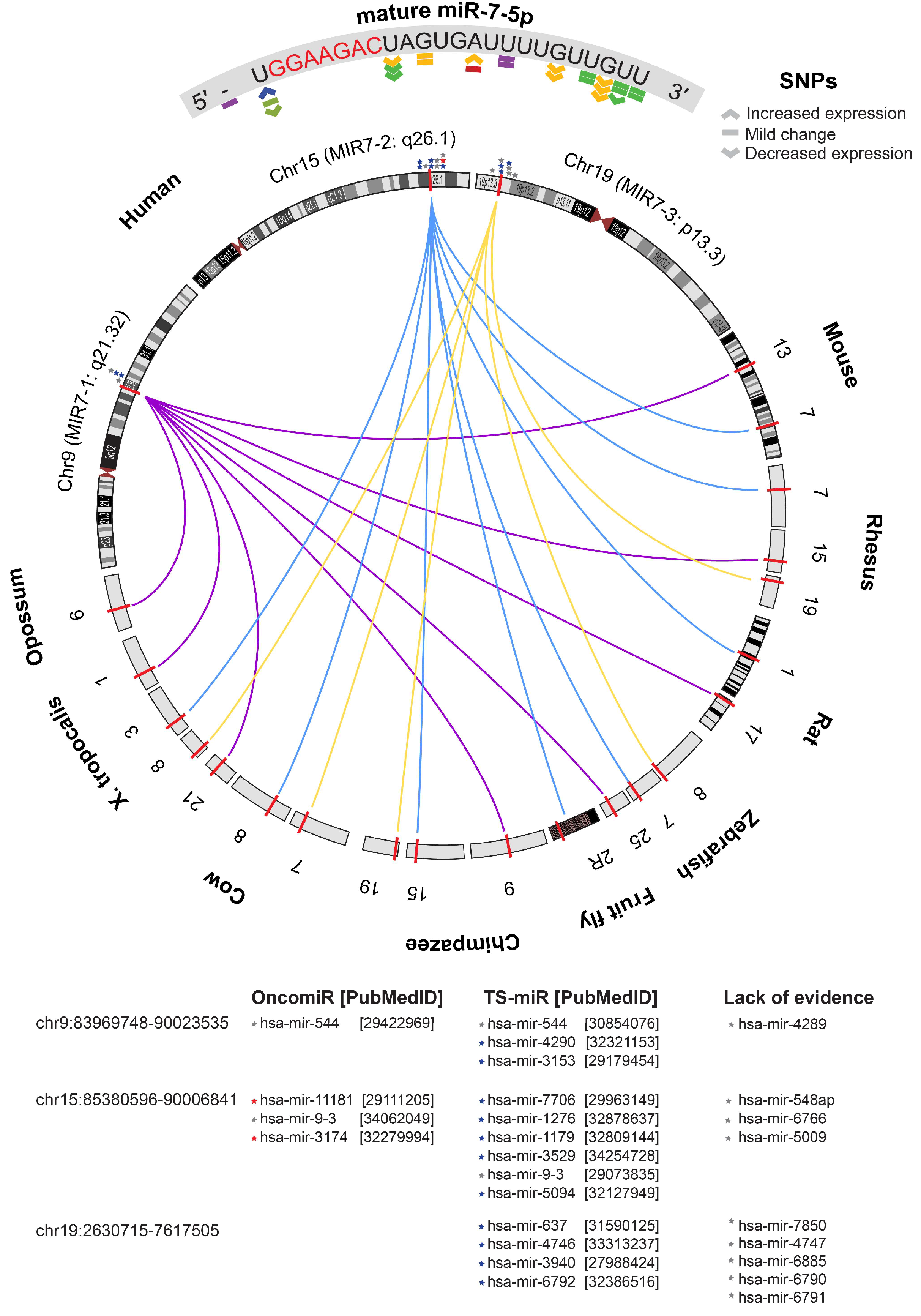 Cancers 17 03232 g007