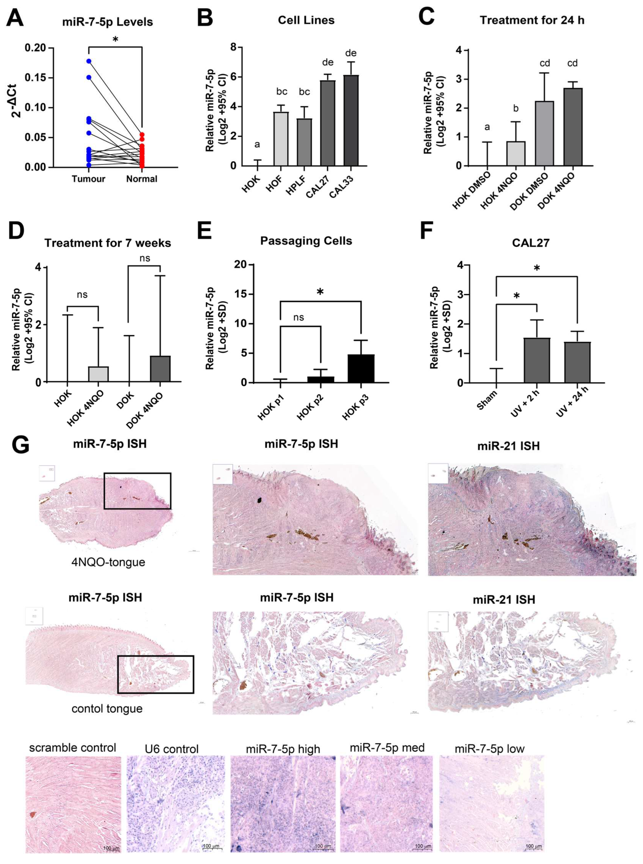 Cancers 17 03232 g011