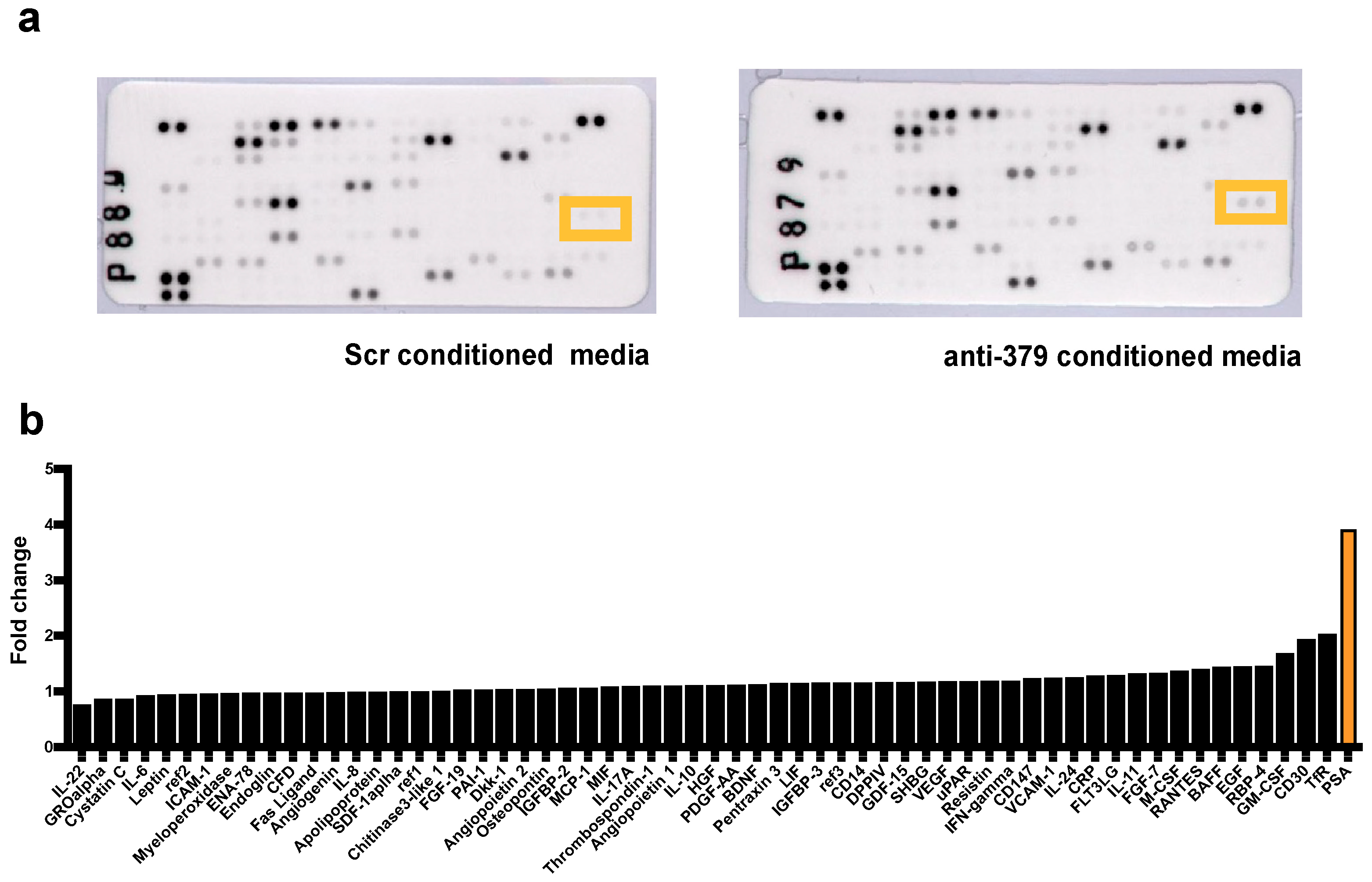 Cancers 17 03245 g001