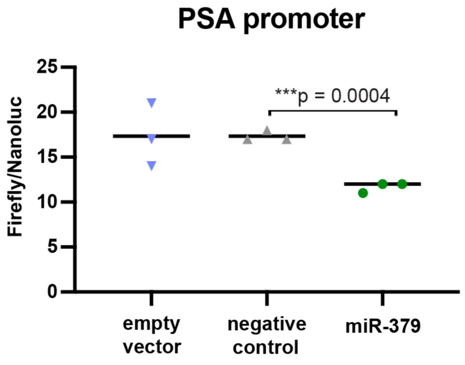 Cancers 17 03245 g004