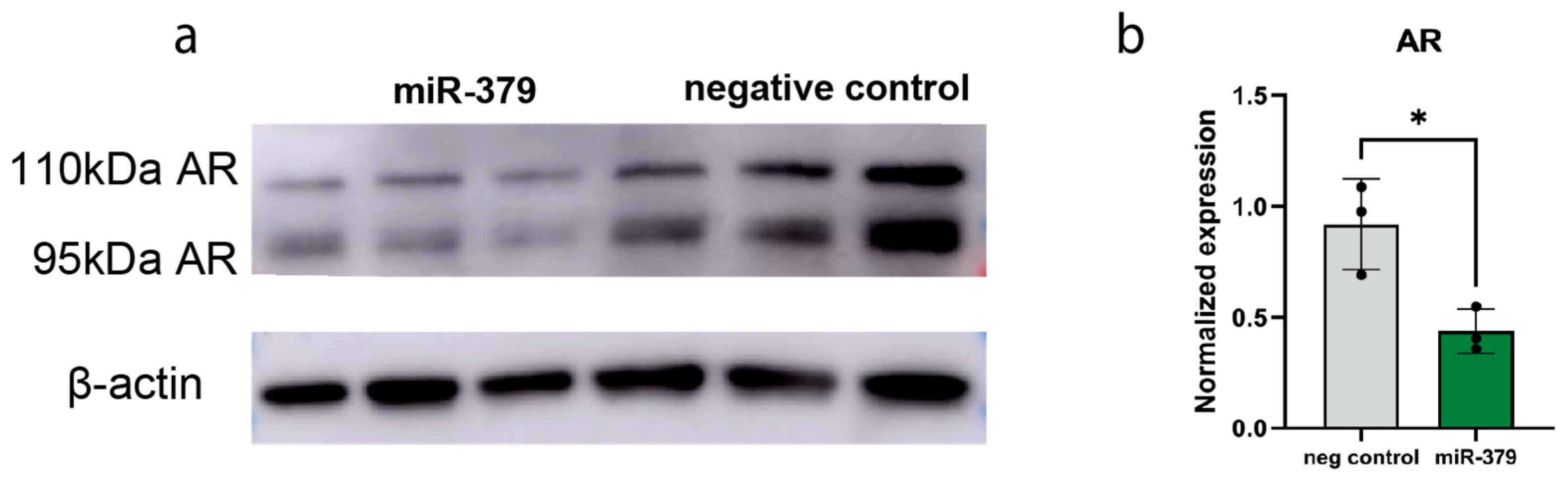 Cancers 17 03245 g005