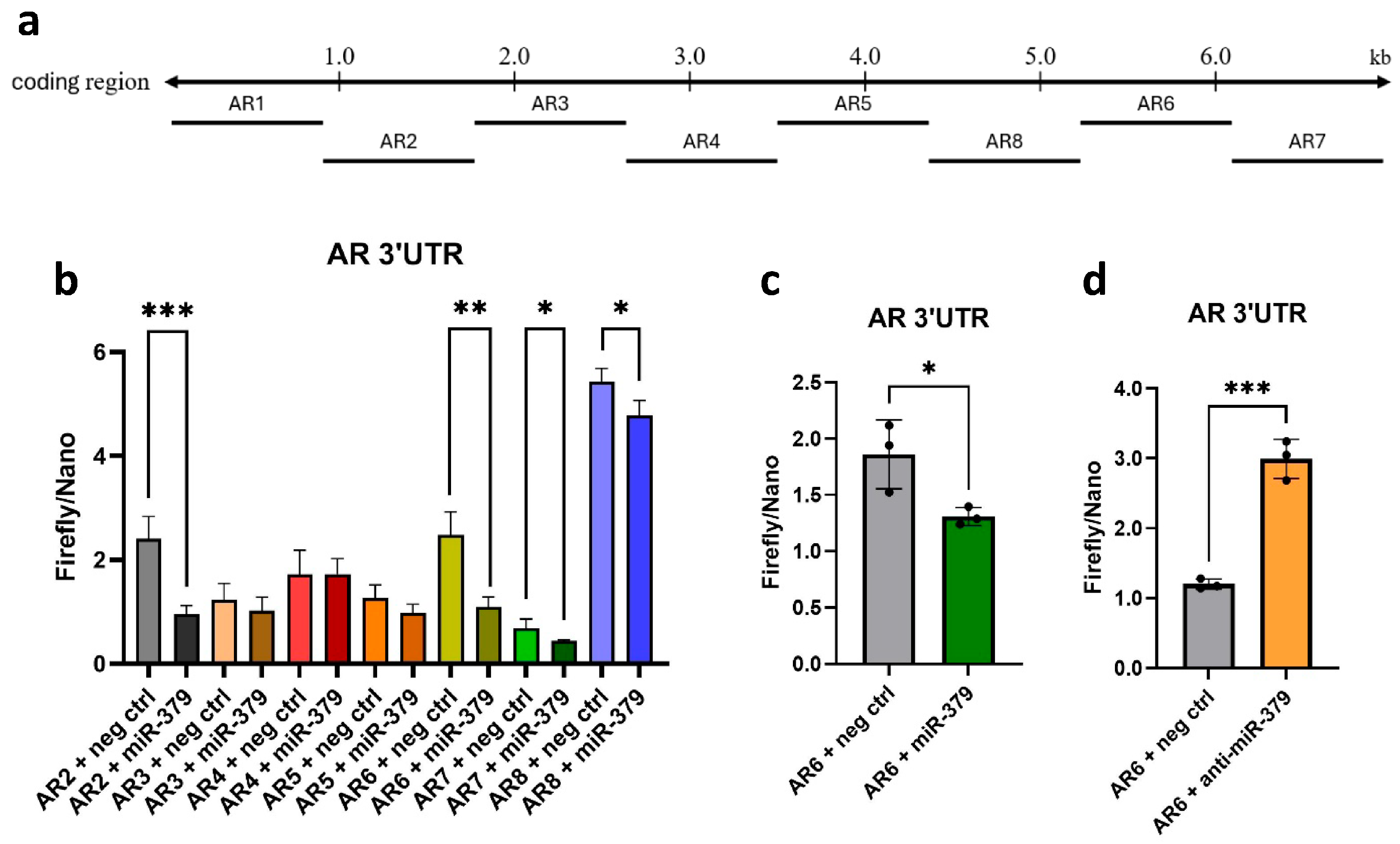 Cancers 17 03245 g006
