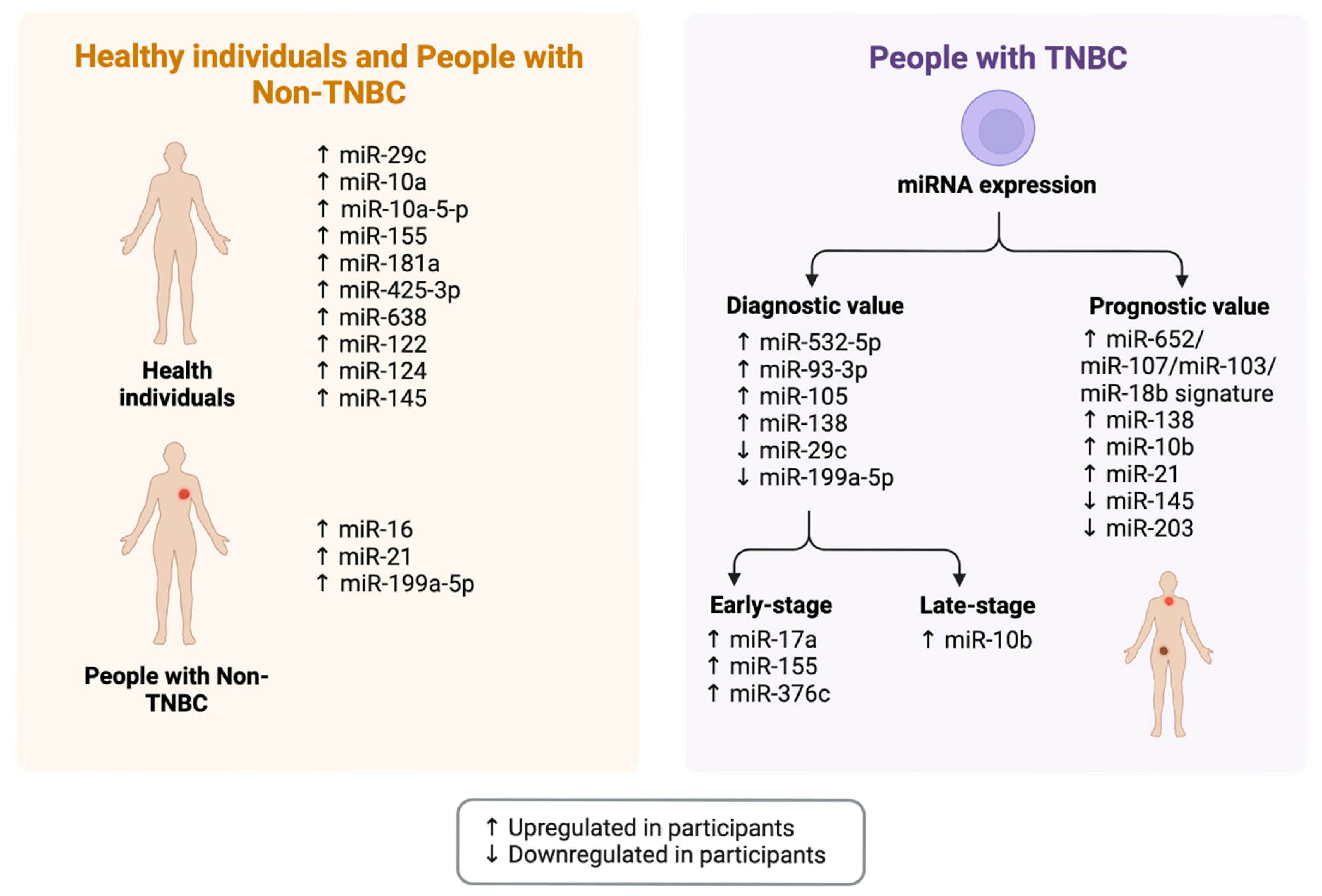 Cancers 17 03248 g004