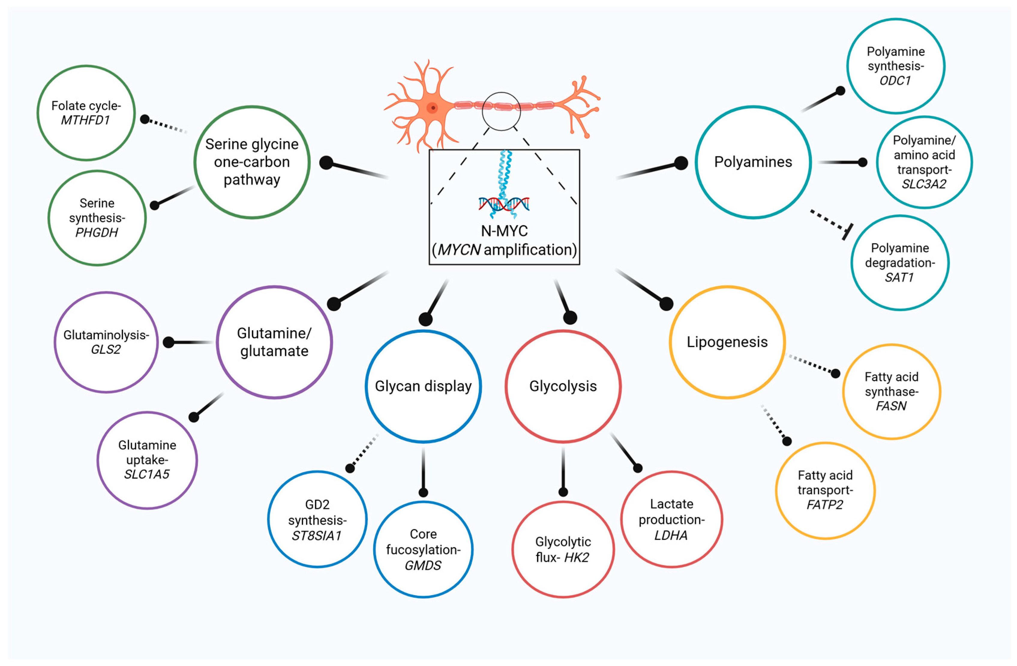 Cancers 17 03256 g001