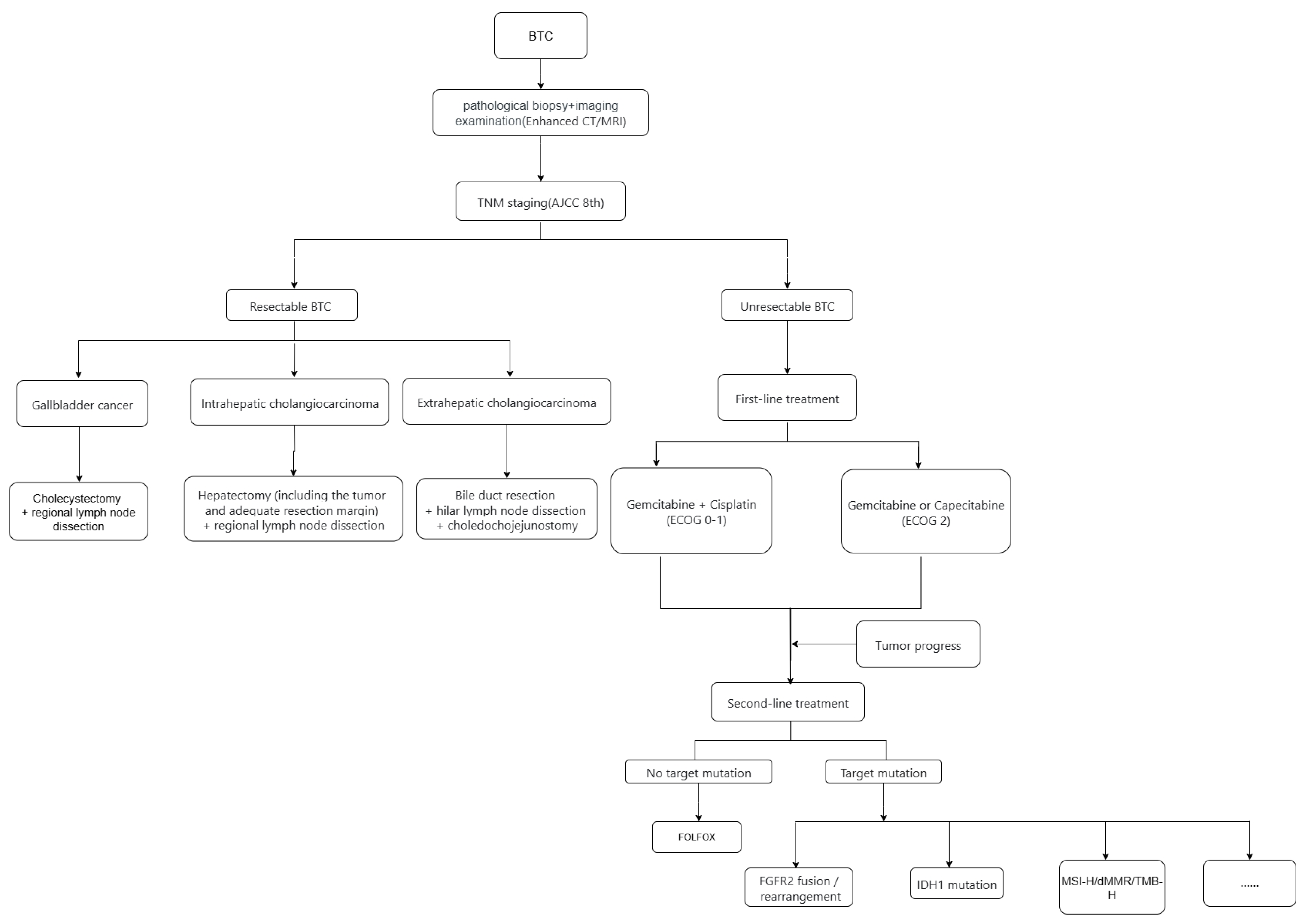 Cancers 17 03268 g001