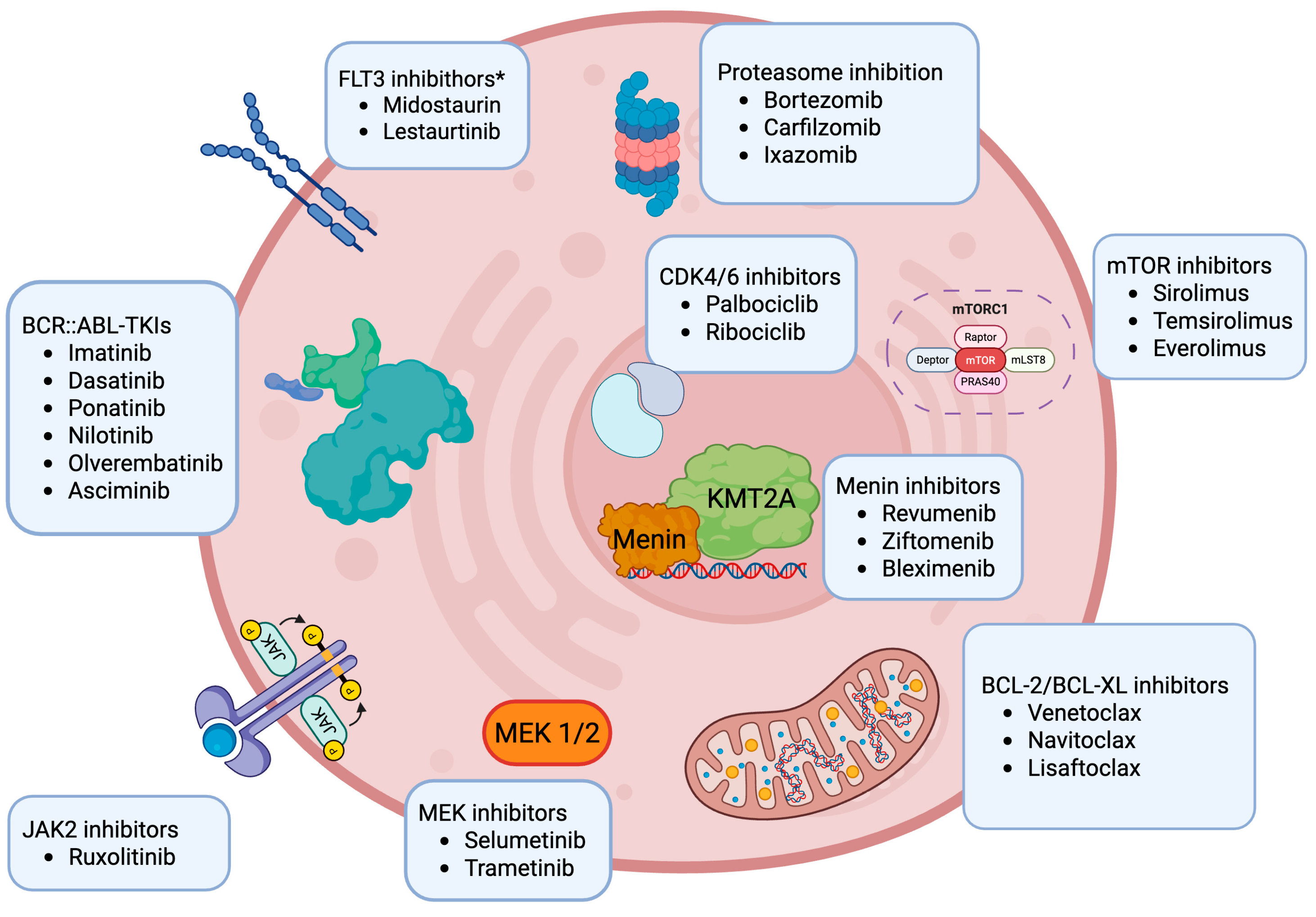 Cancers 17 03322 g001 Cancers 17 03322 g001