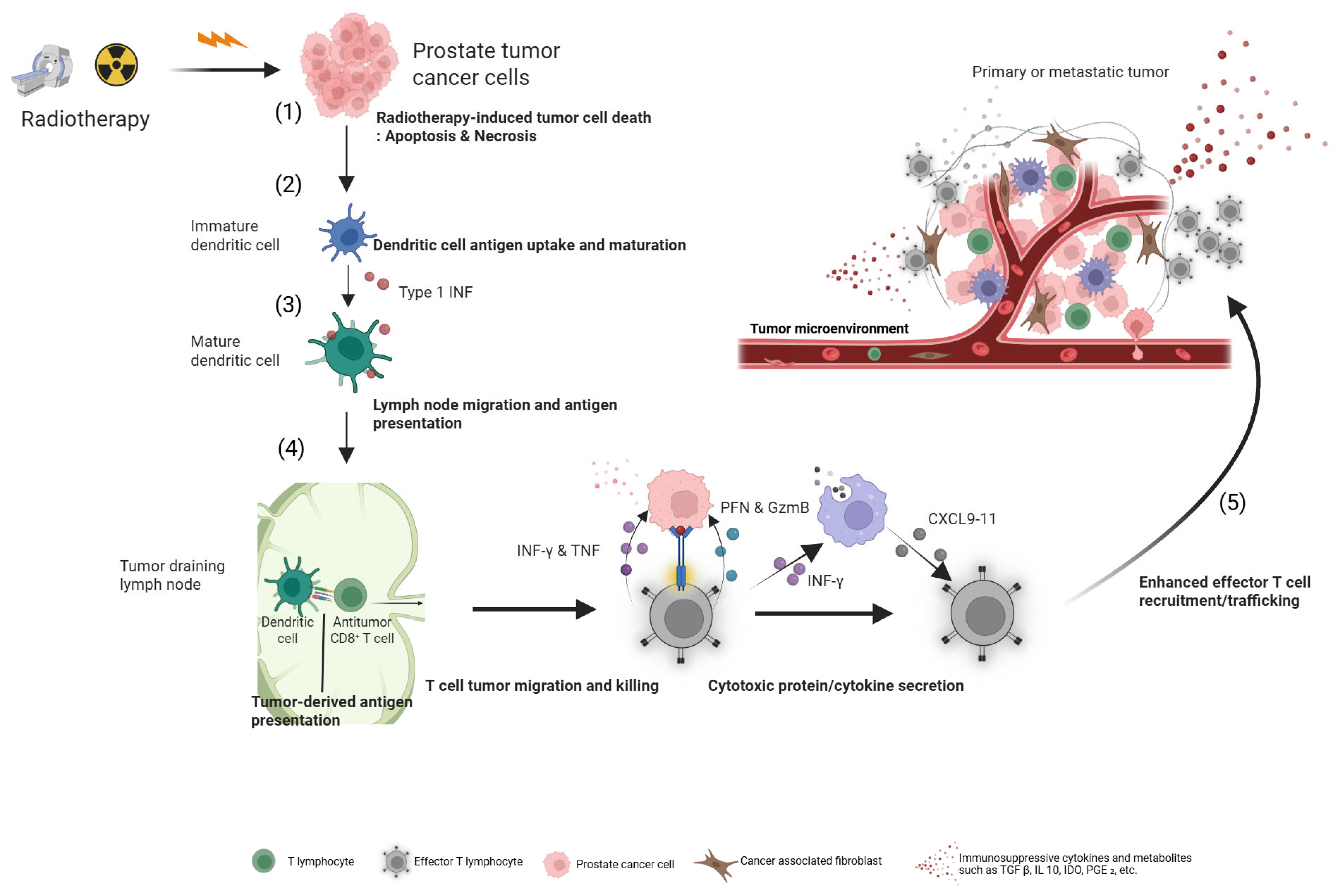 Cancers 17 03330 g002