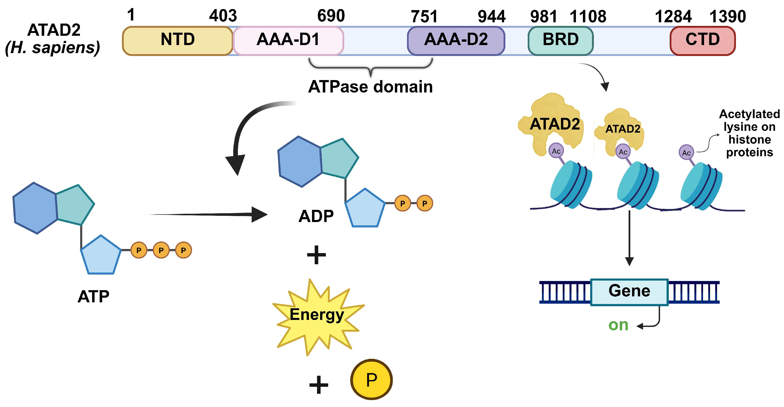 Cancers 17 03337 g003 Cancers 17 03337 g003