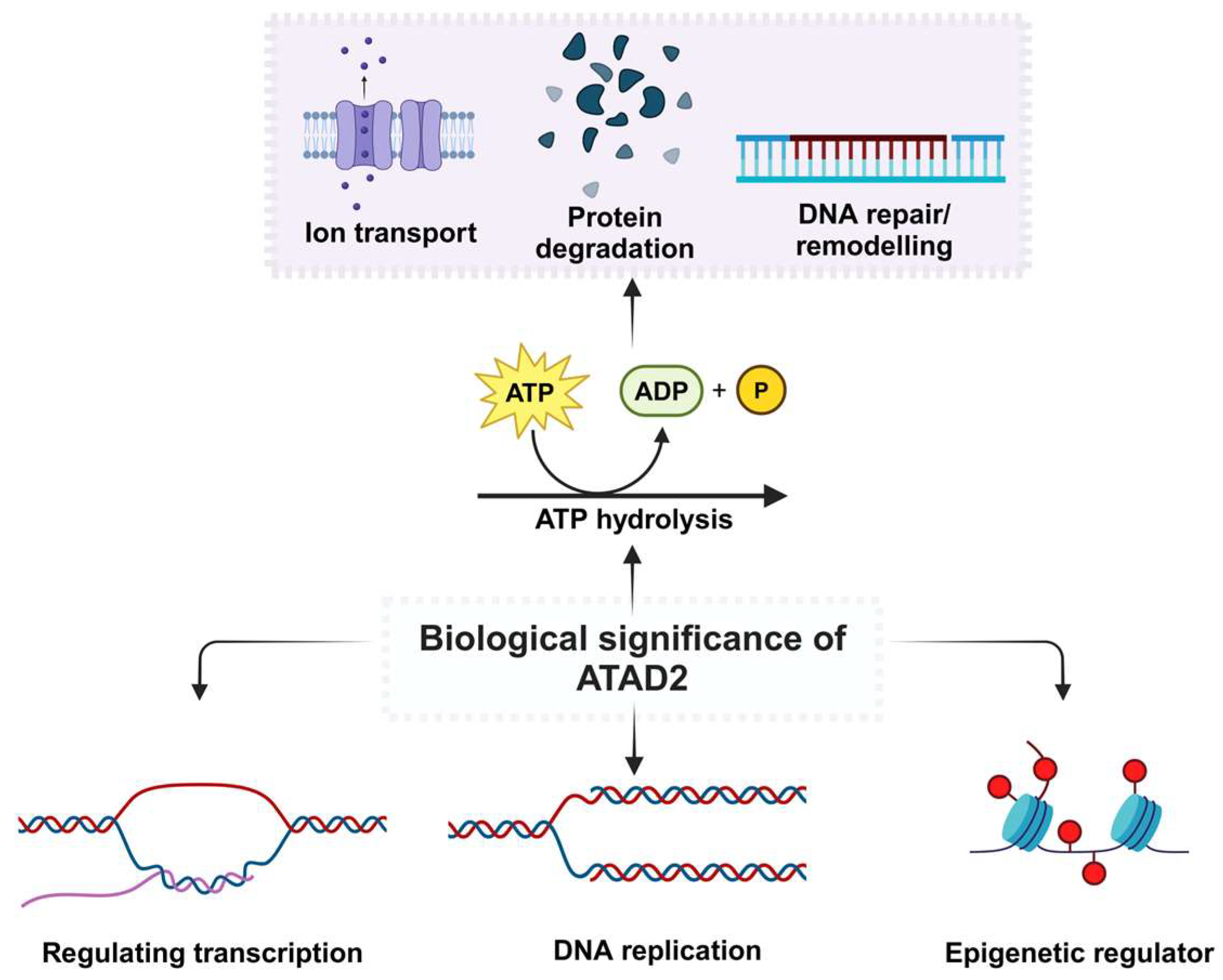 Cancers 17 03337 g004 Cancers 17 03337 g004