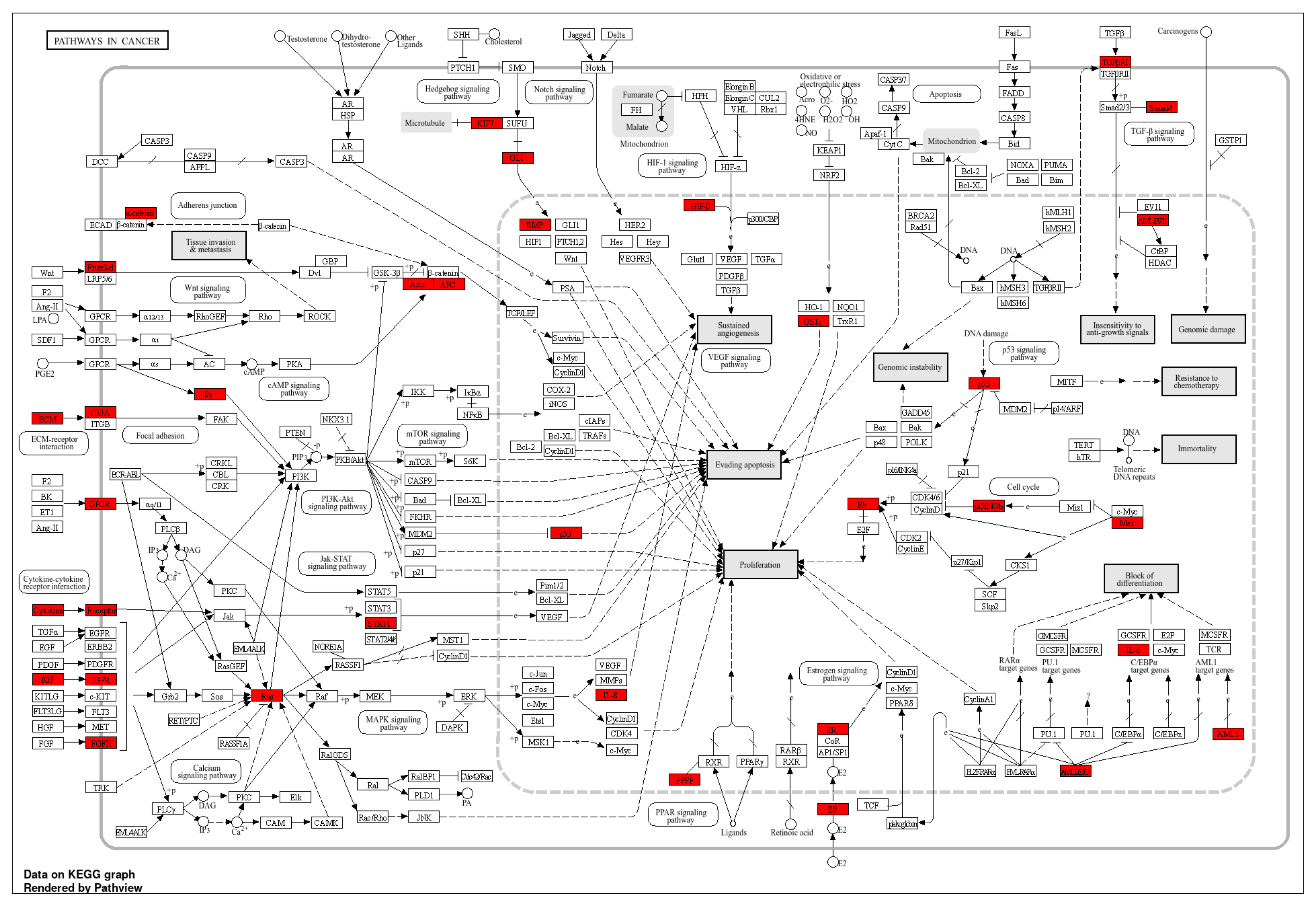 Cancers 17 03338 g004