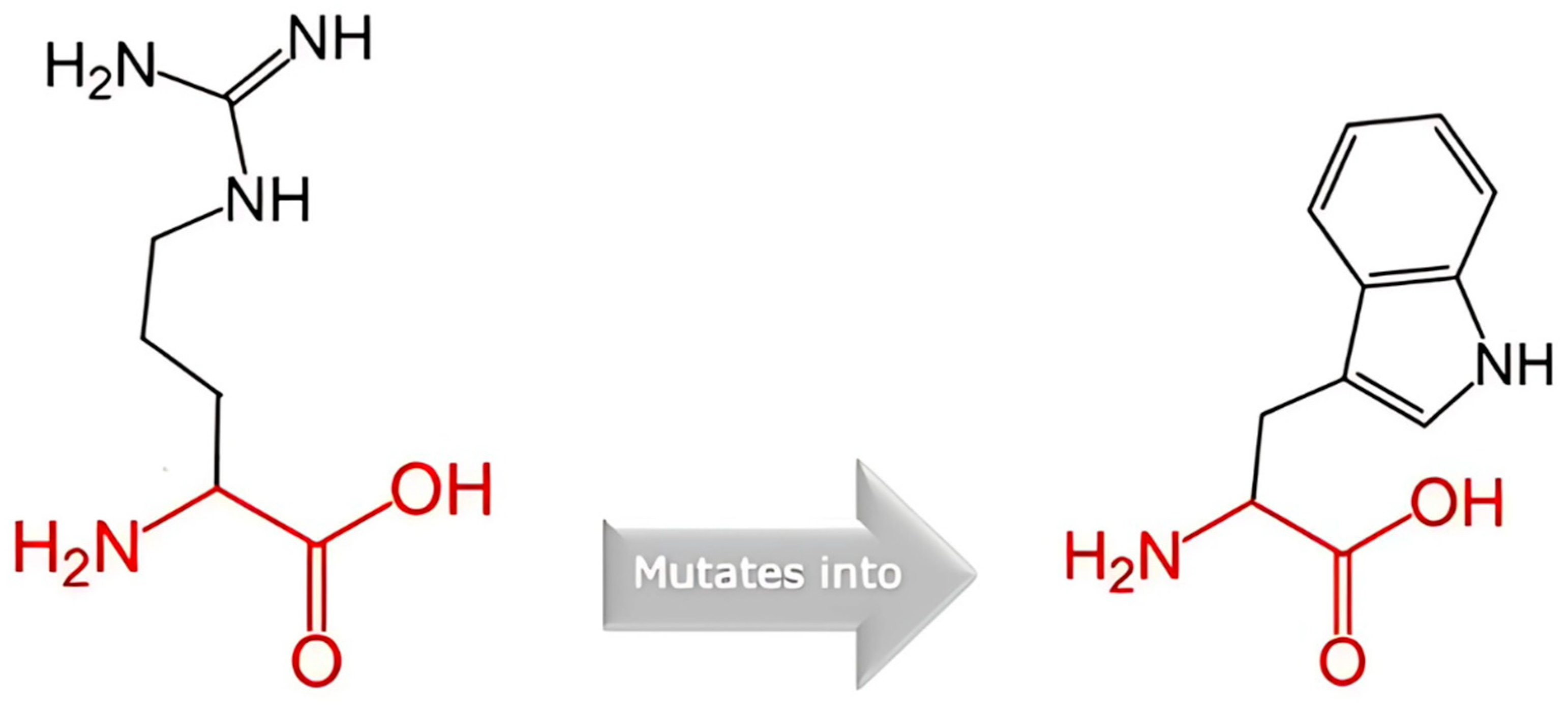 Cancers 17 03338 g007